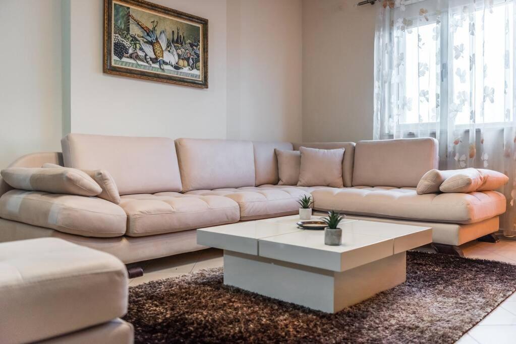 The Central Comfort Apartment