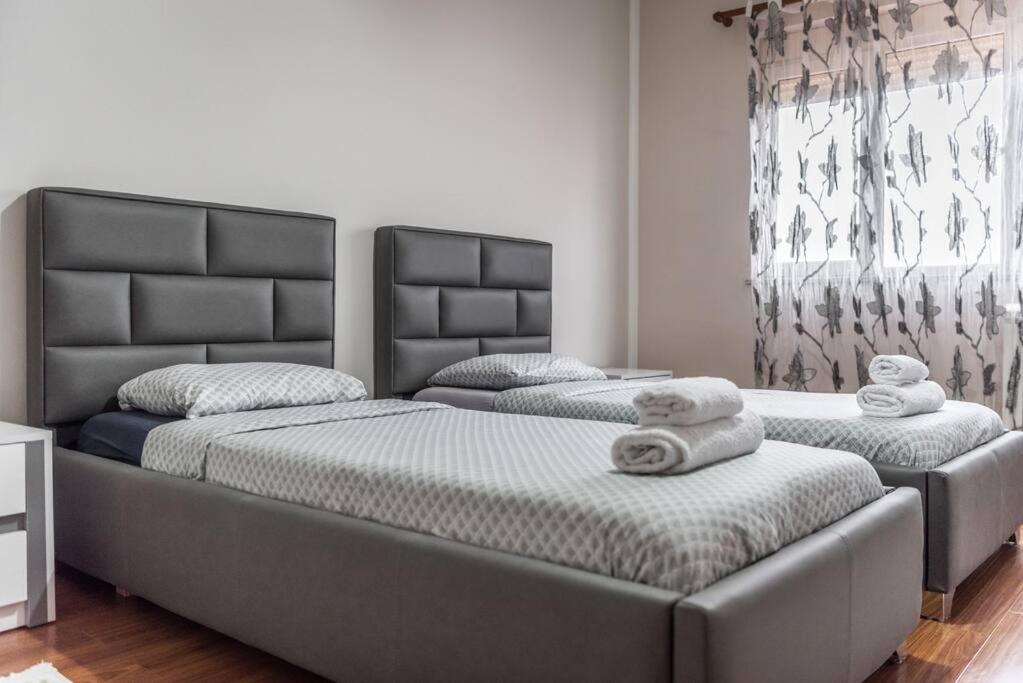The Central Comfort Apartment