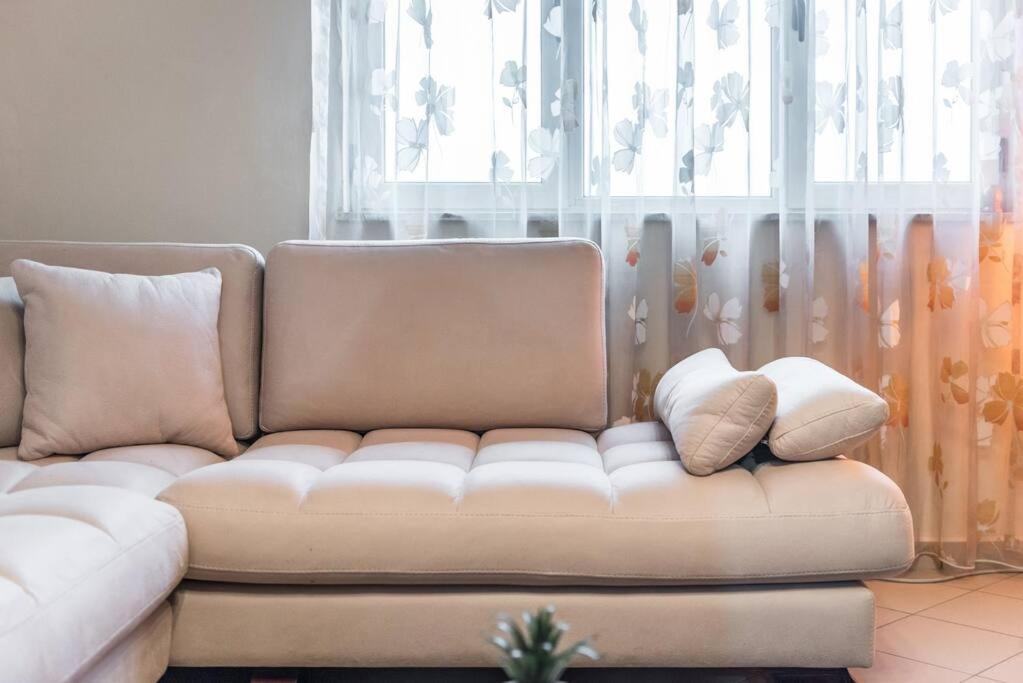 The Central Comfort Apartment