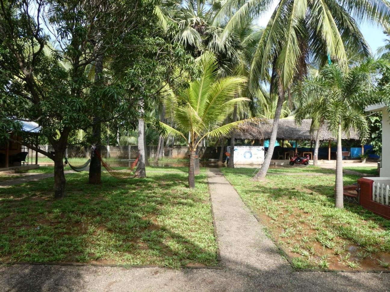 Photo 21