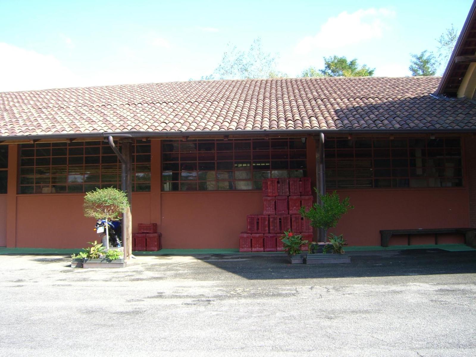 Photo 38