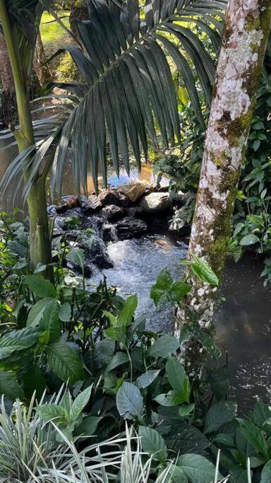 Chalé de madeira com vista para o rio