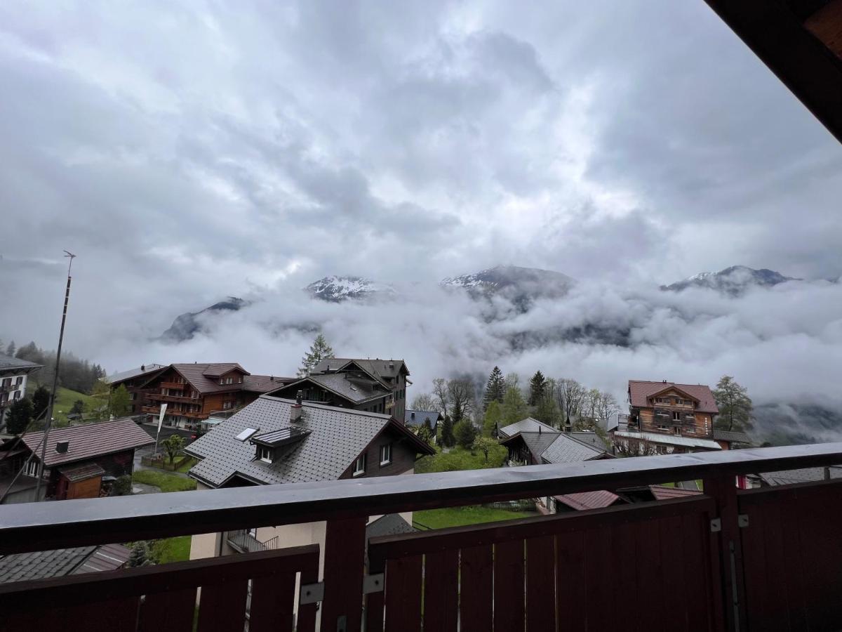 Chalet Bella Vista 8
