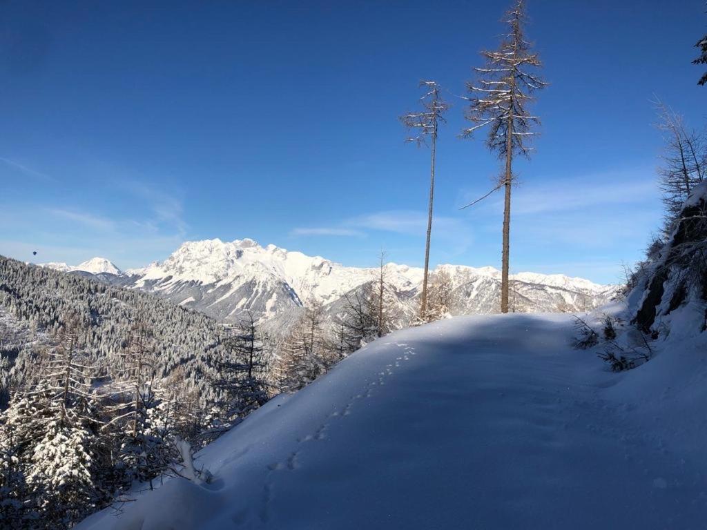 Chalet Alma
