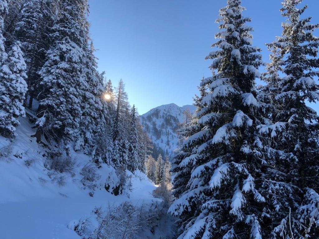 Chalet Alma