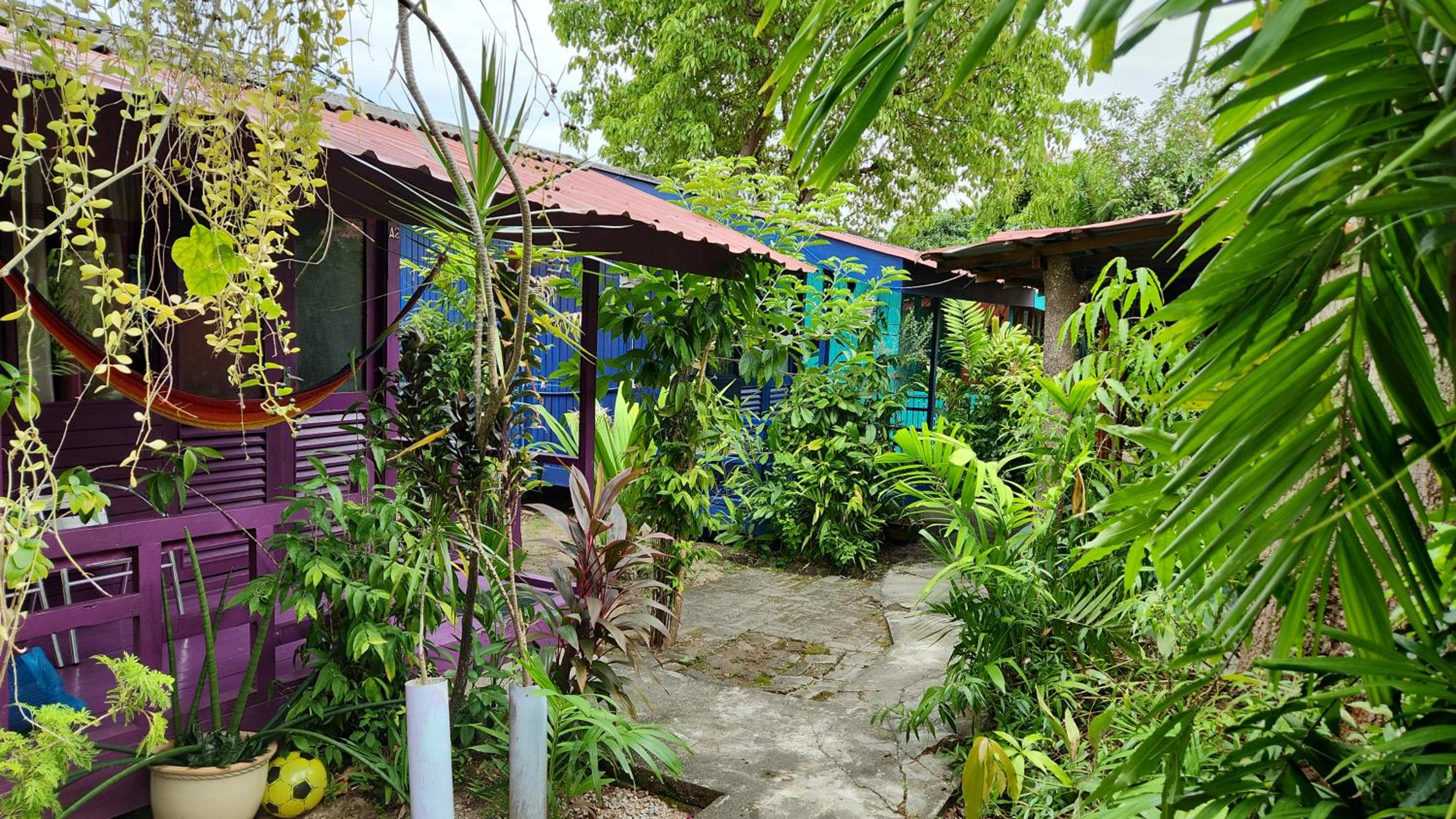 Gecko Guesthouse photo 3