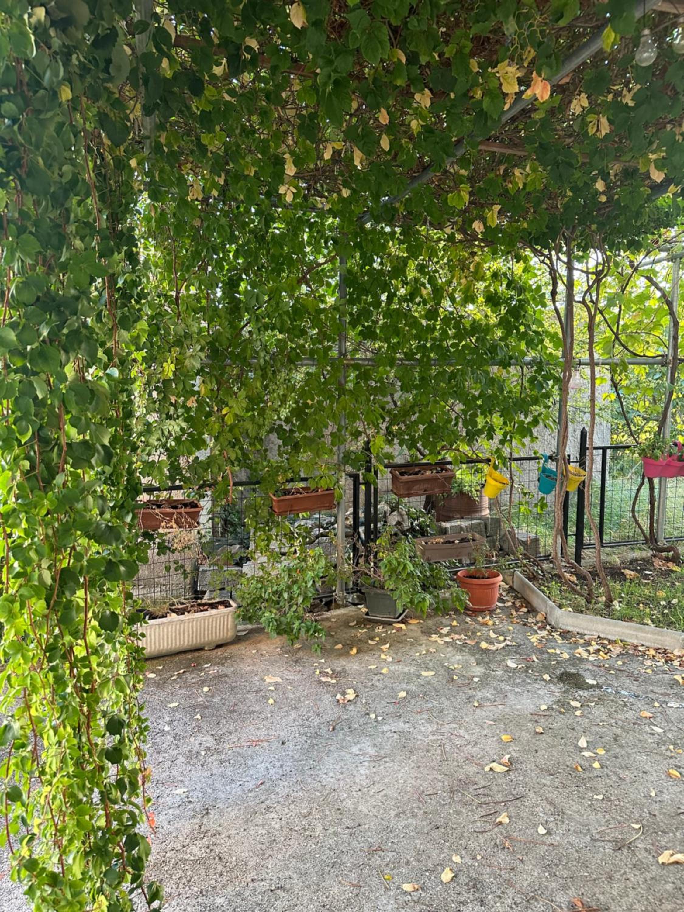 Apartment Roma