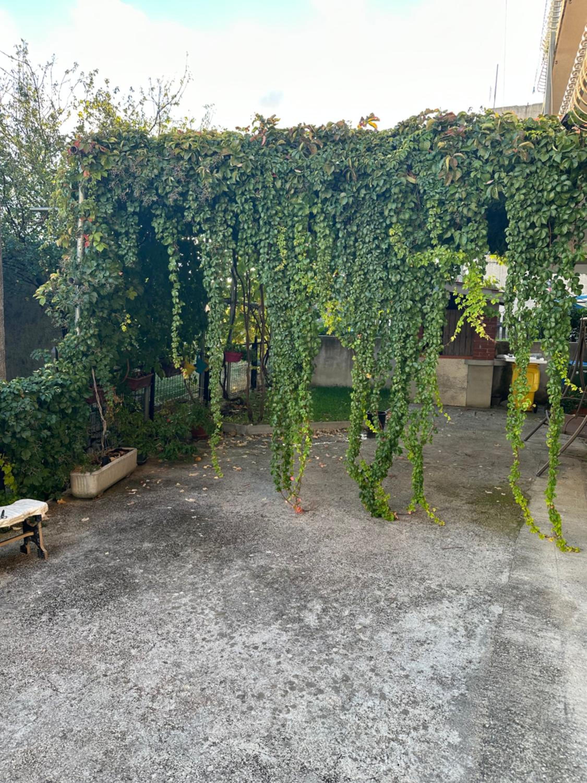 Apartment Roma