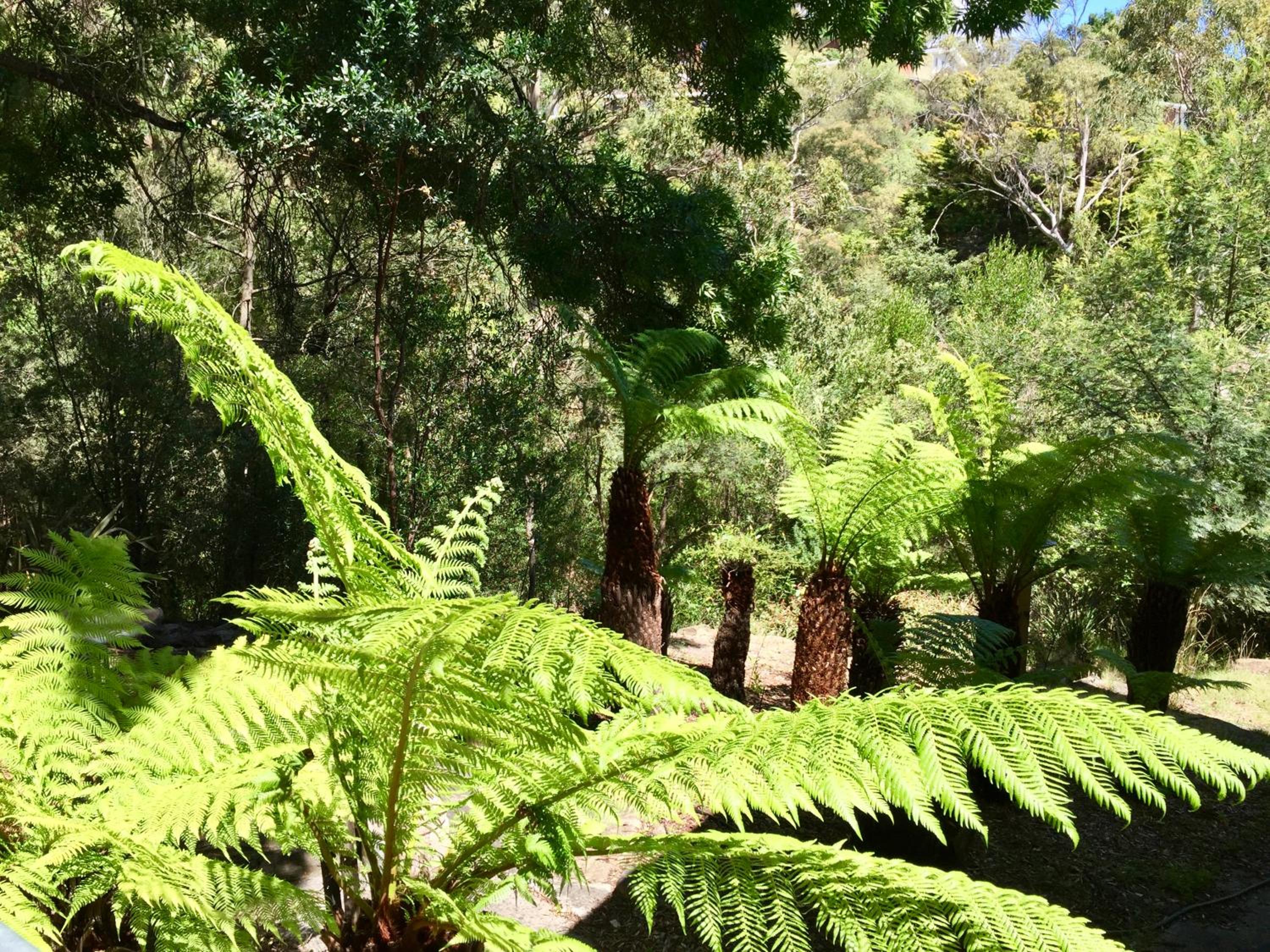 Sandy Bay Haven