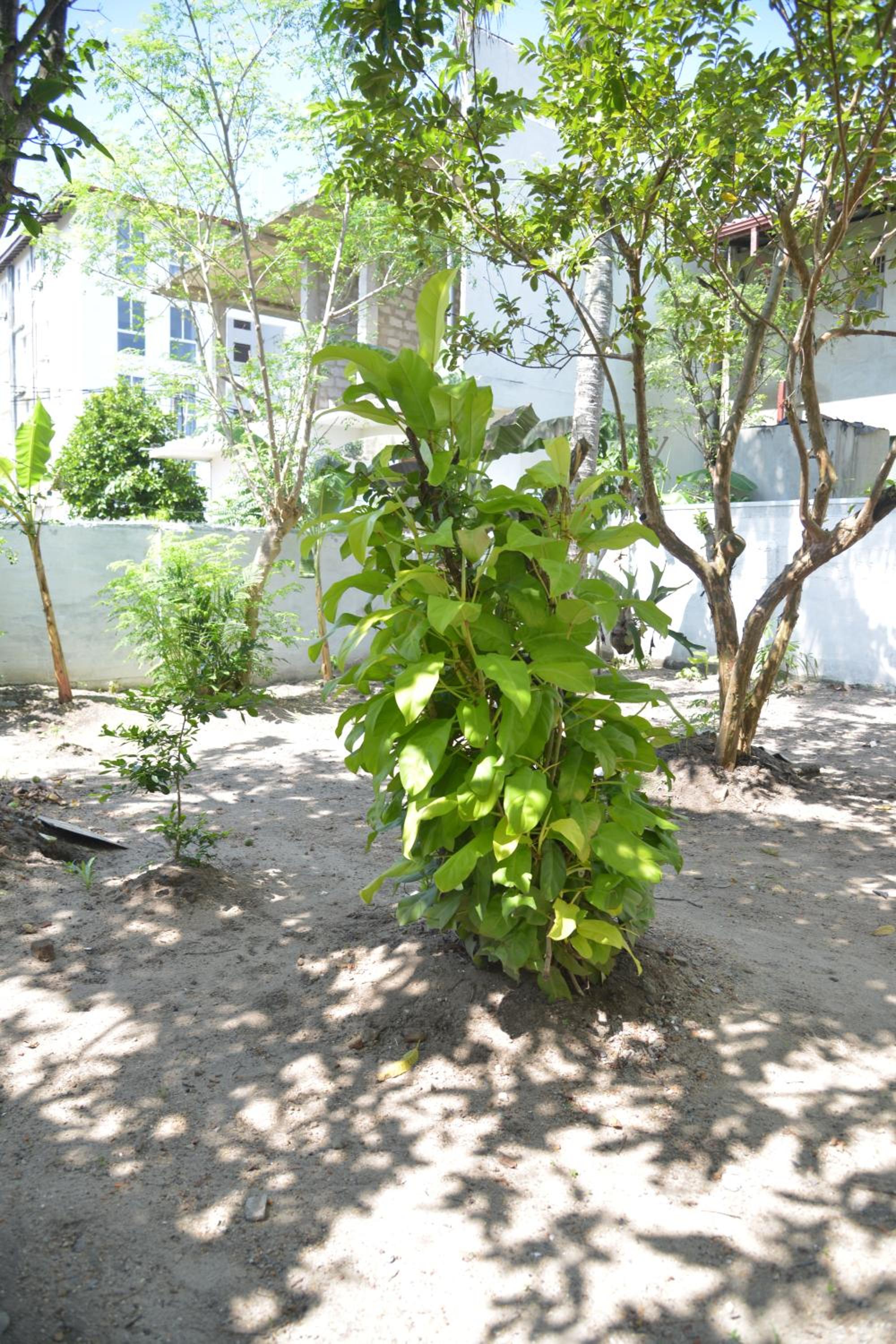 Photo 14