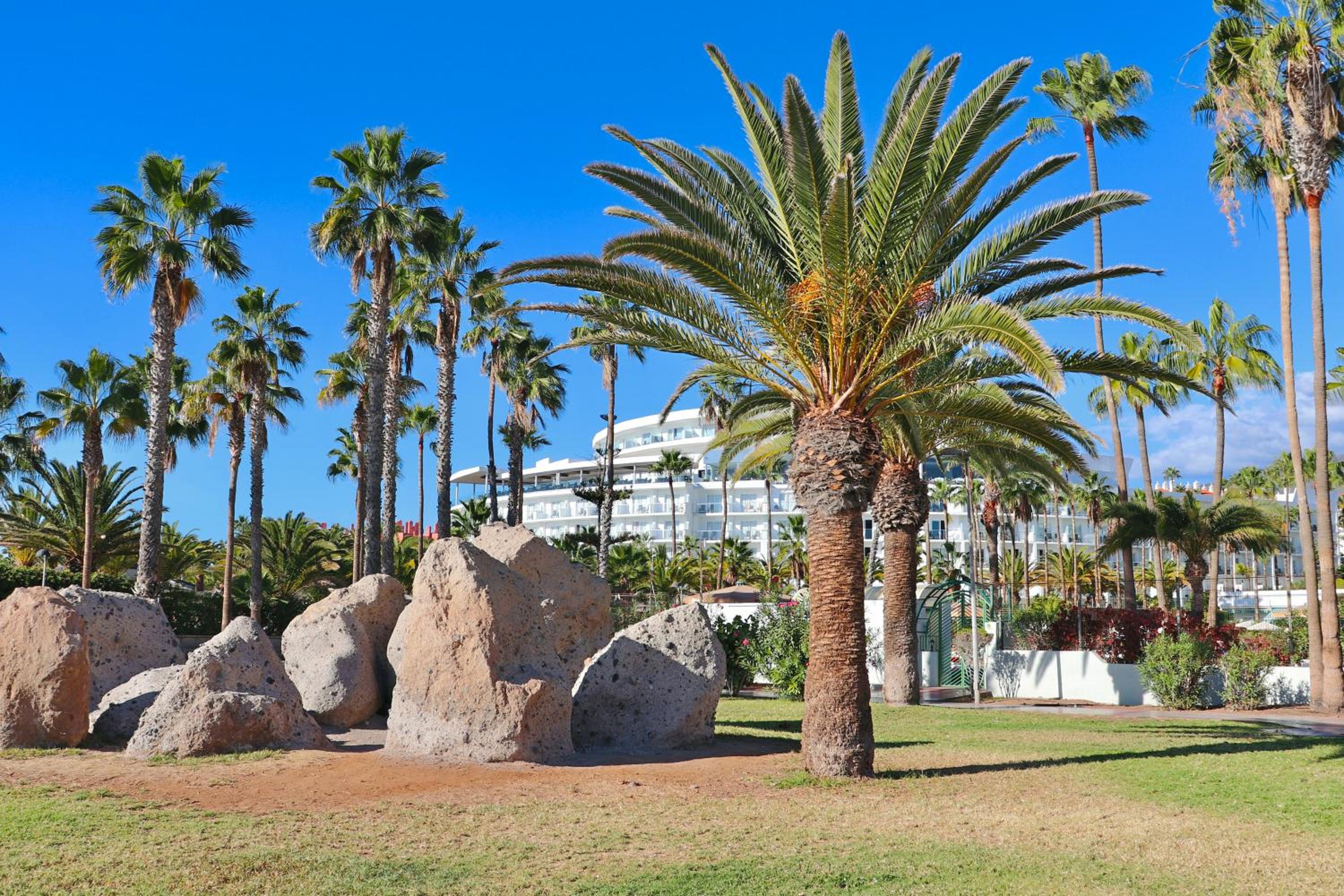 Duque Beachfront Elite