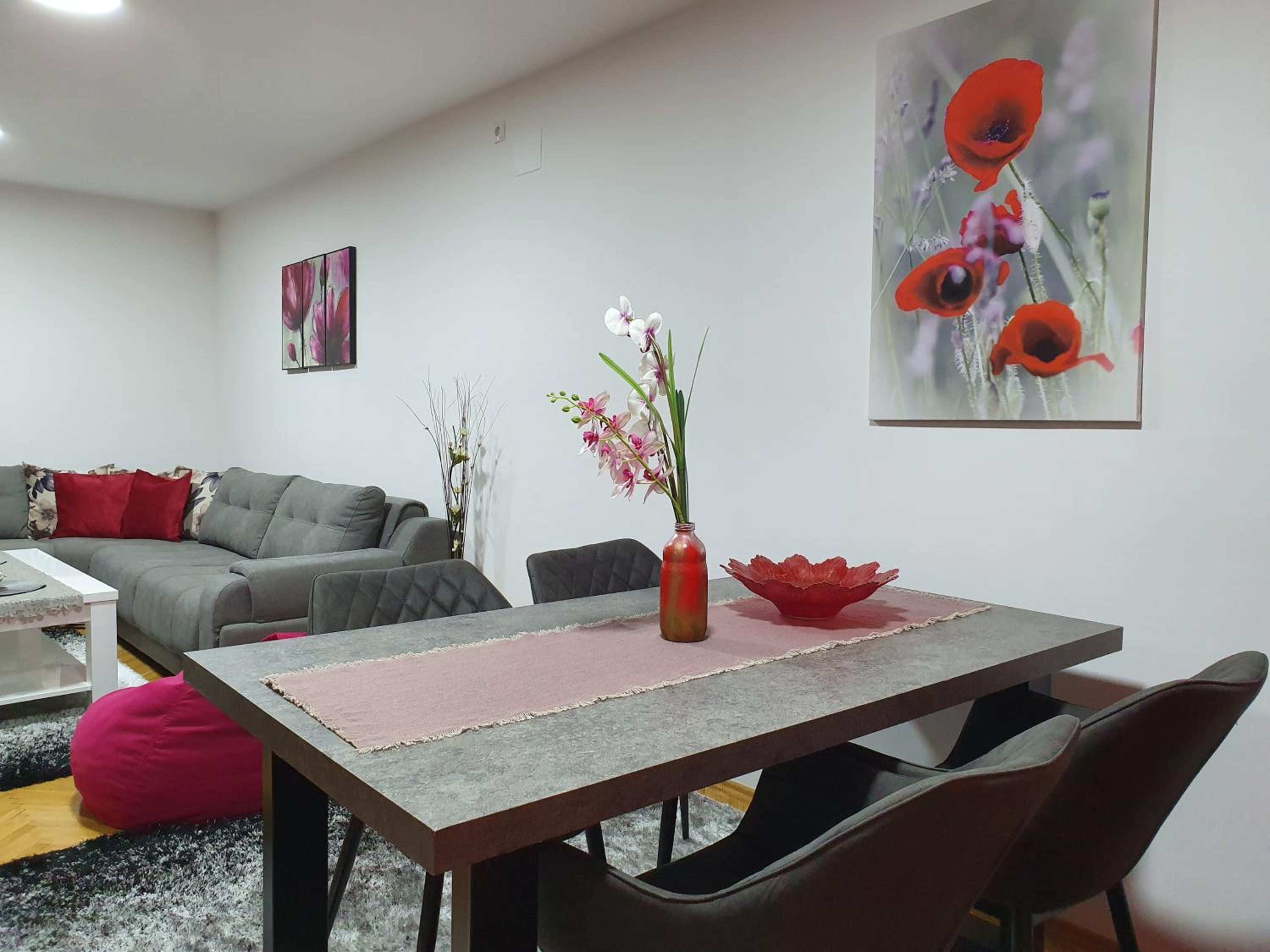 Apartment Centar with garage