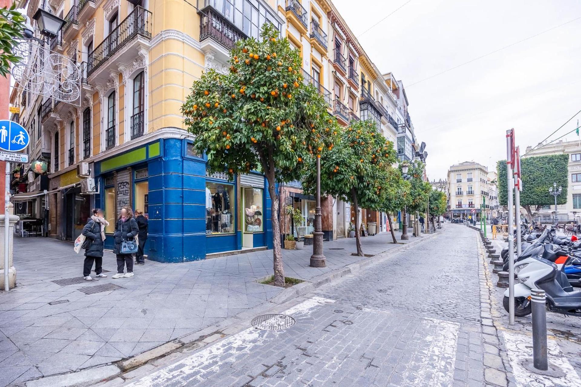 Chicarrero Suite Vacacional Sevilla