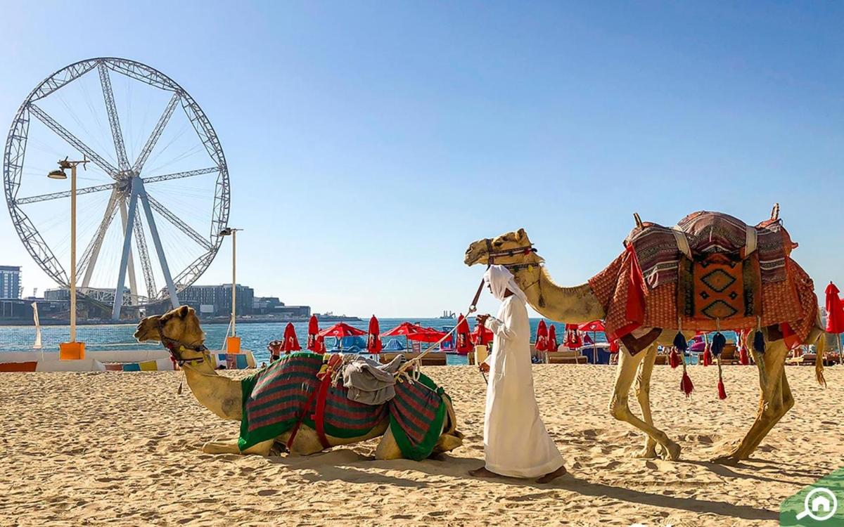 HAPPY SEASON - JBR apartments, Beach Front, Top furnished