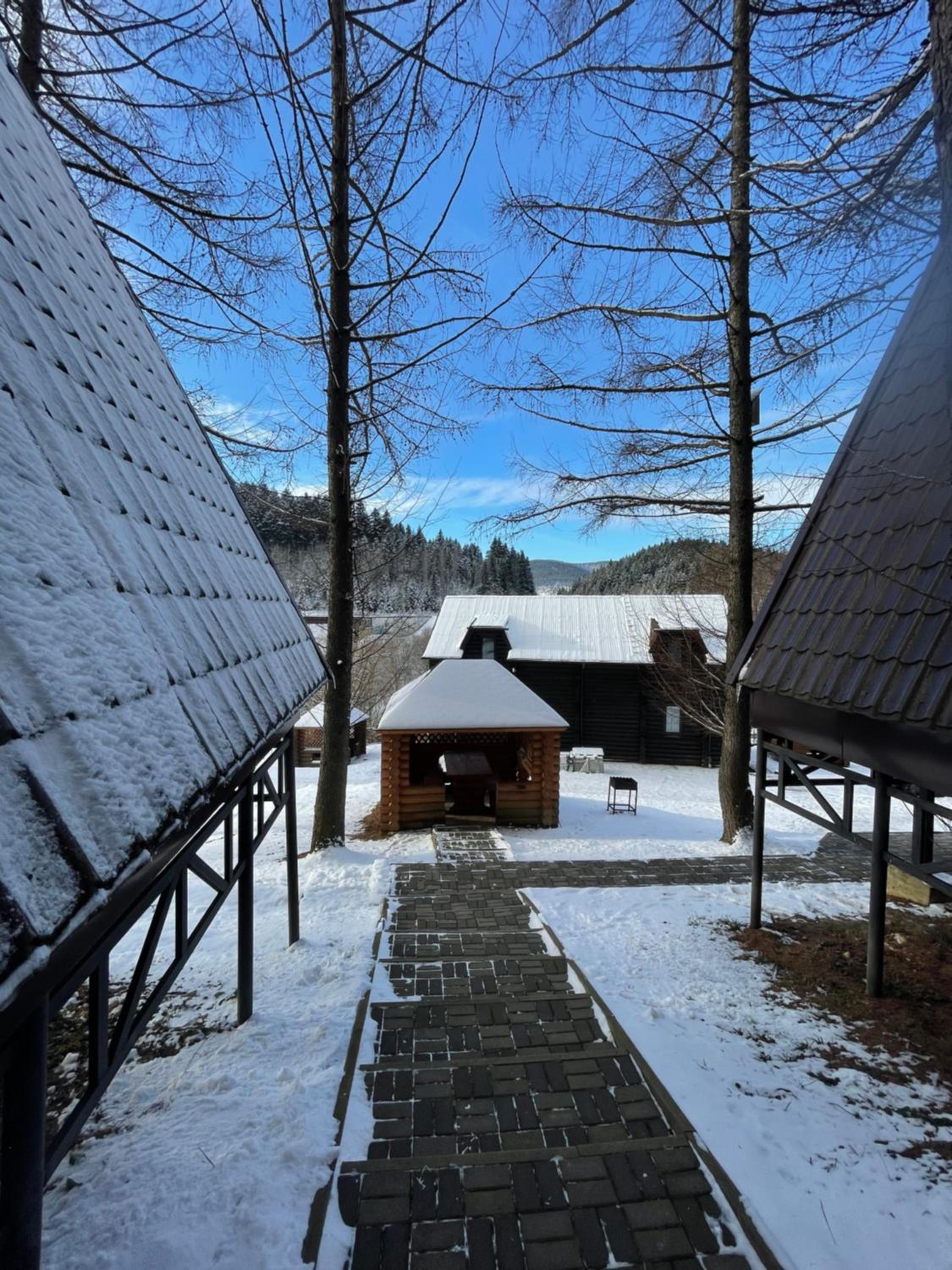 Karpatskyy view 2