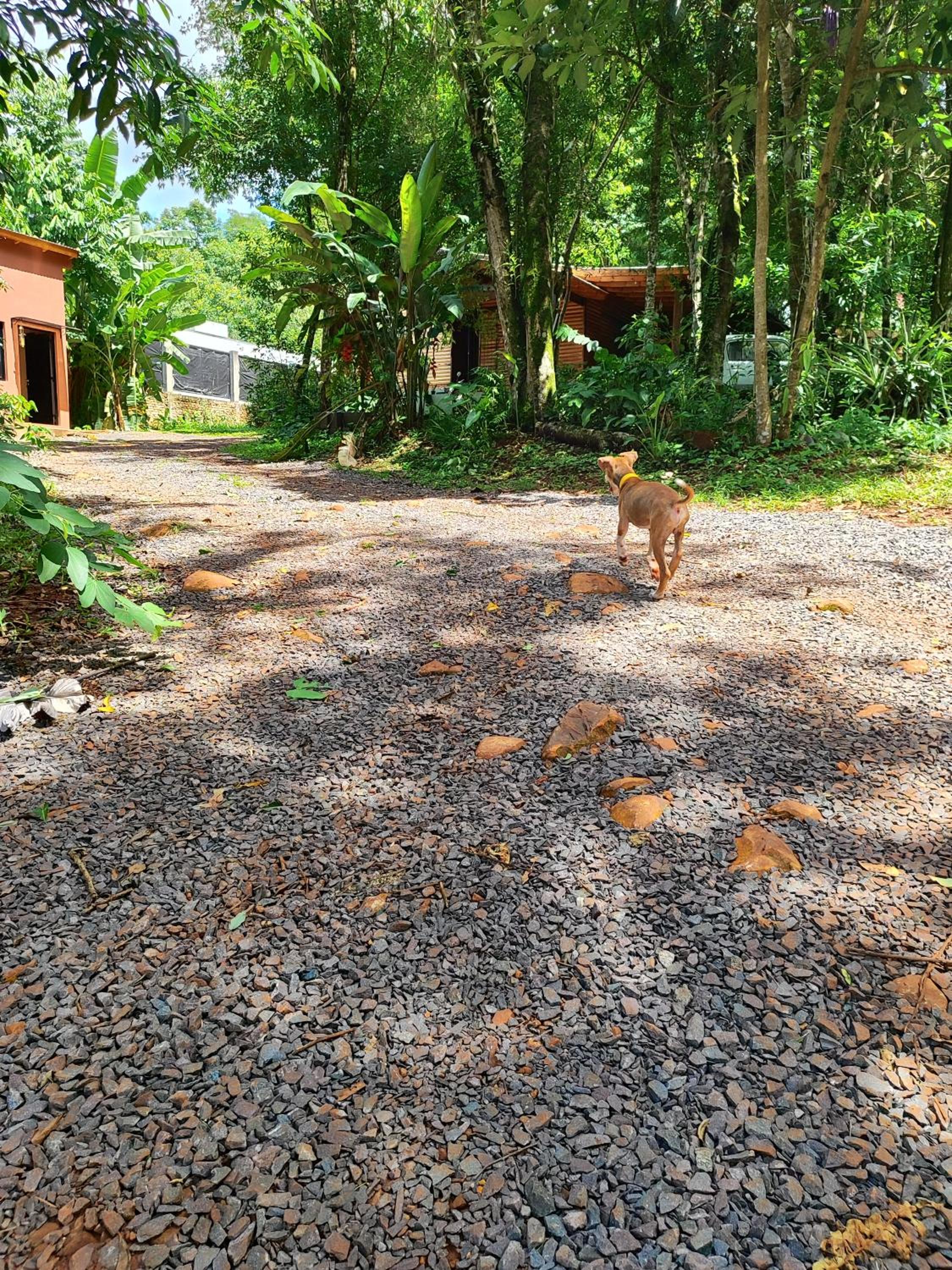 Minicasa Rural Maria Preta
