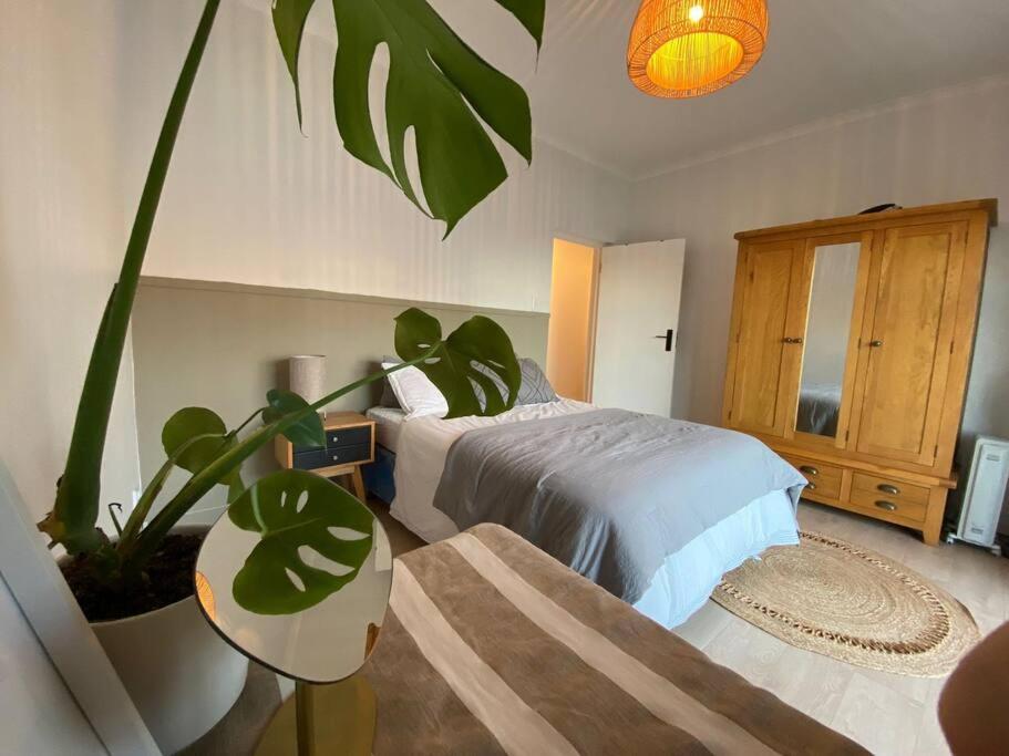 Luxury Beach House, Jeffreys Bay