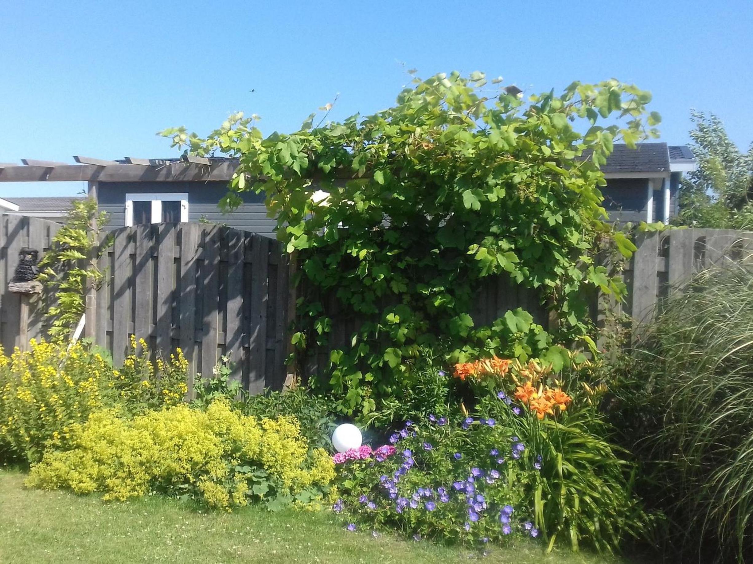 Photo 14