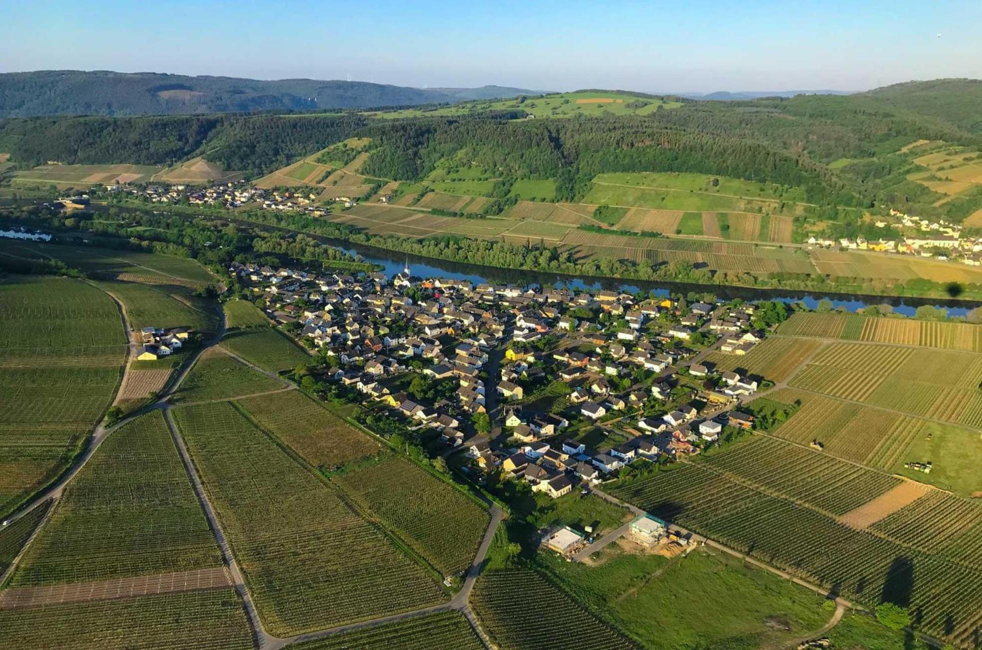 Ferienwohnungen Moselterrasse