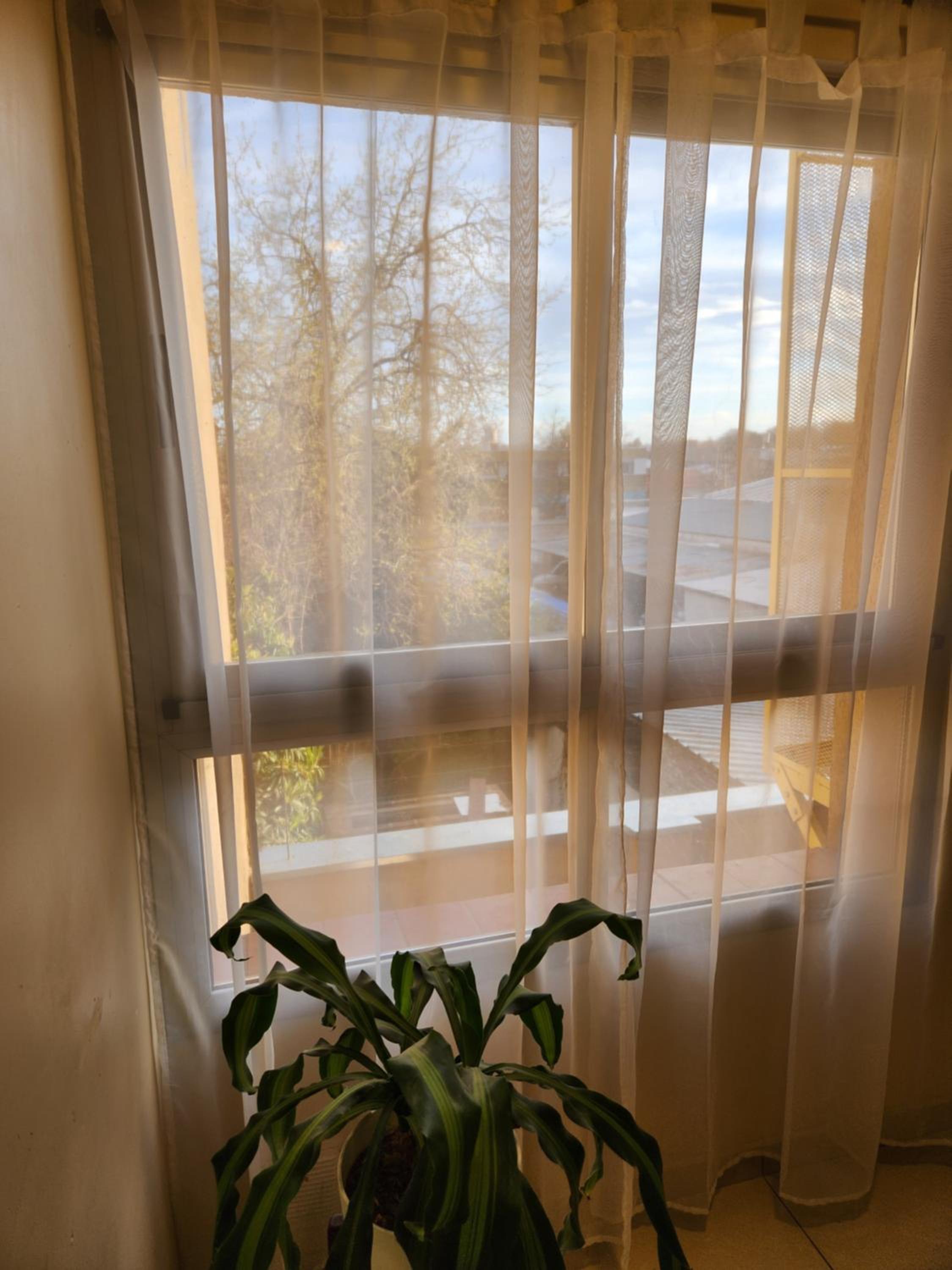 MONOAMBIENTE ITALIA