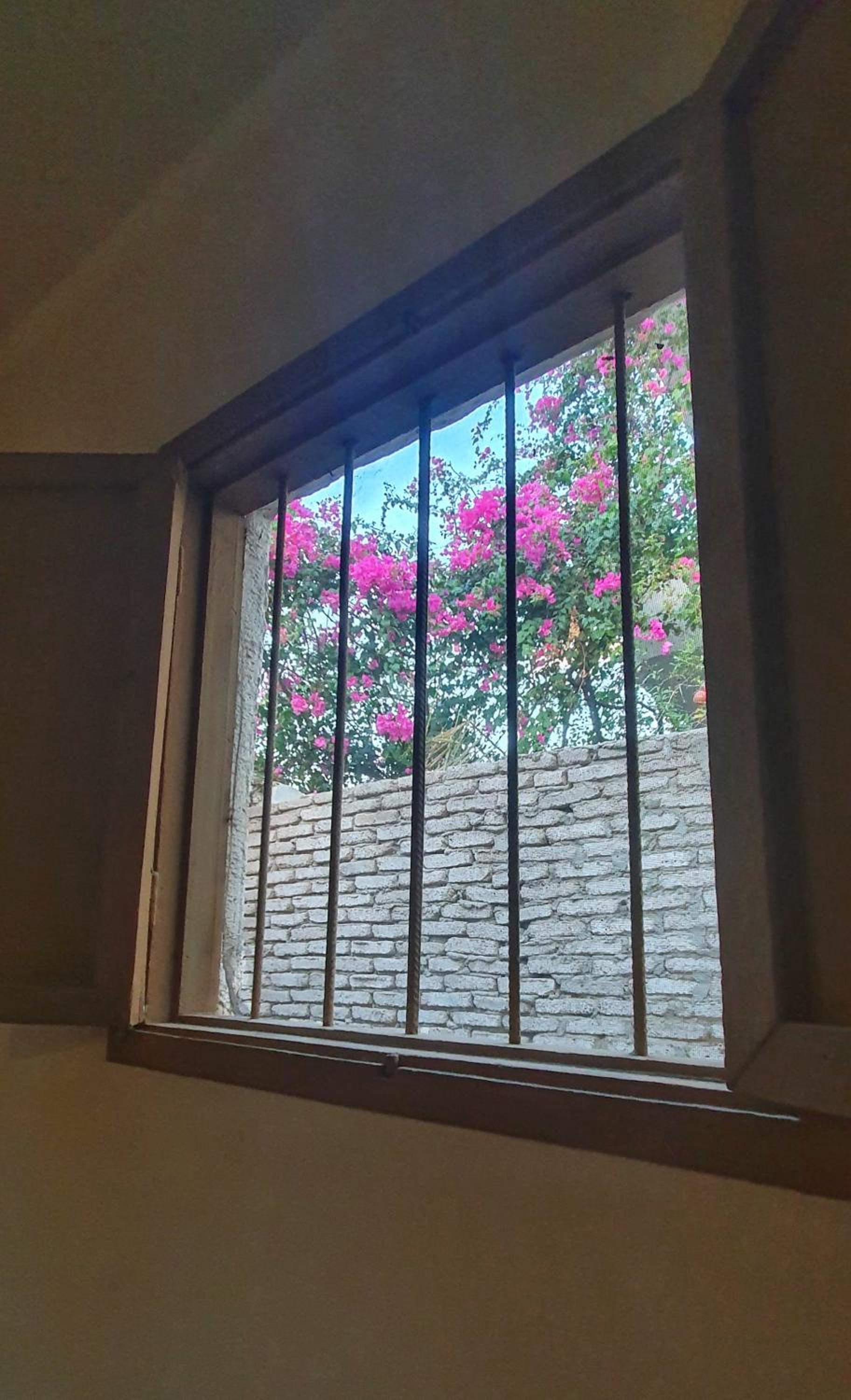Dahab house home