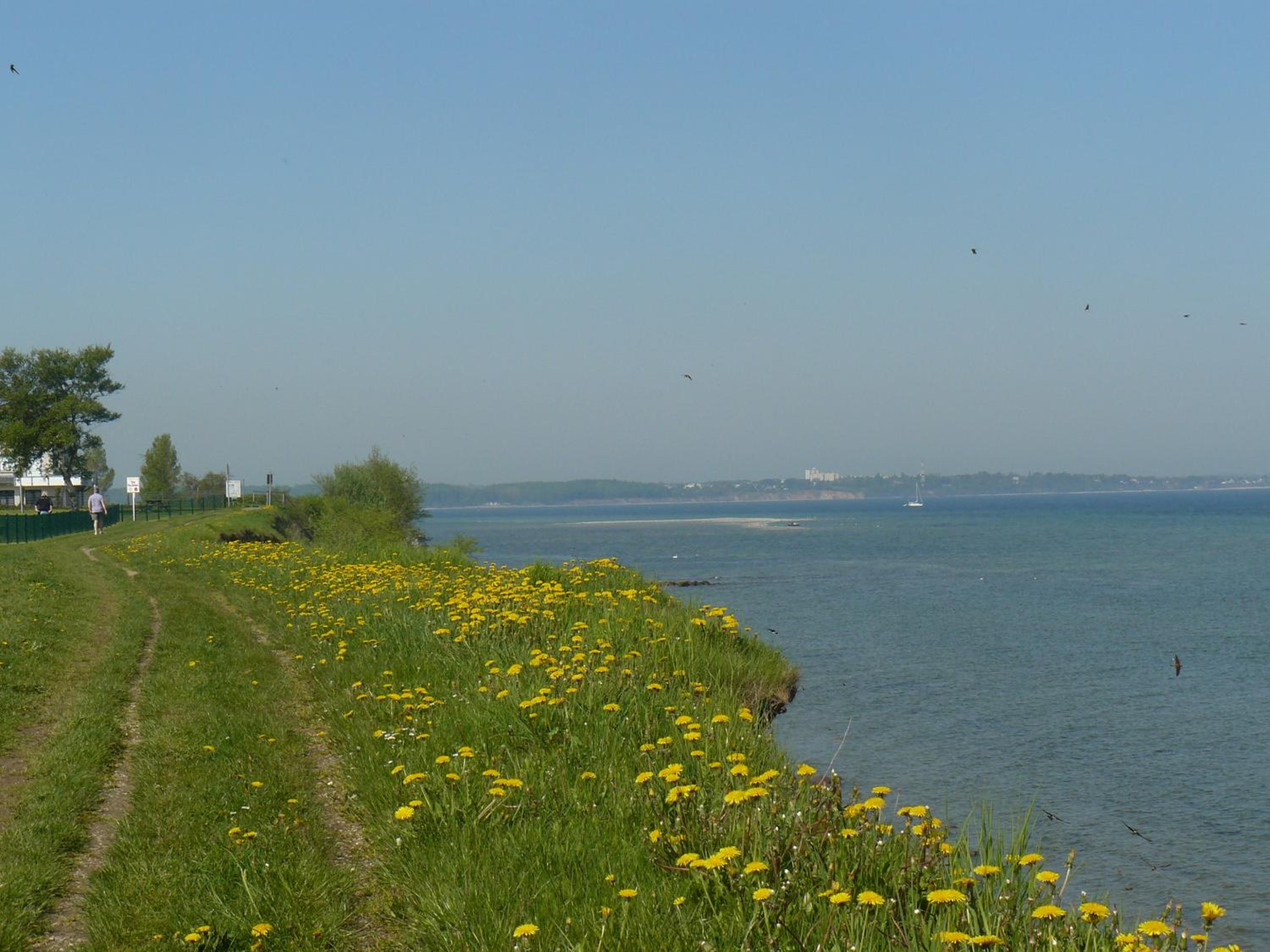 Ferienwohnung Fördeblick