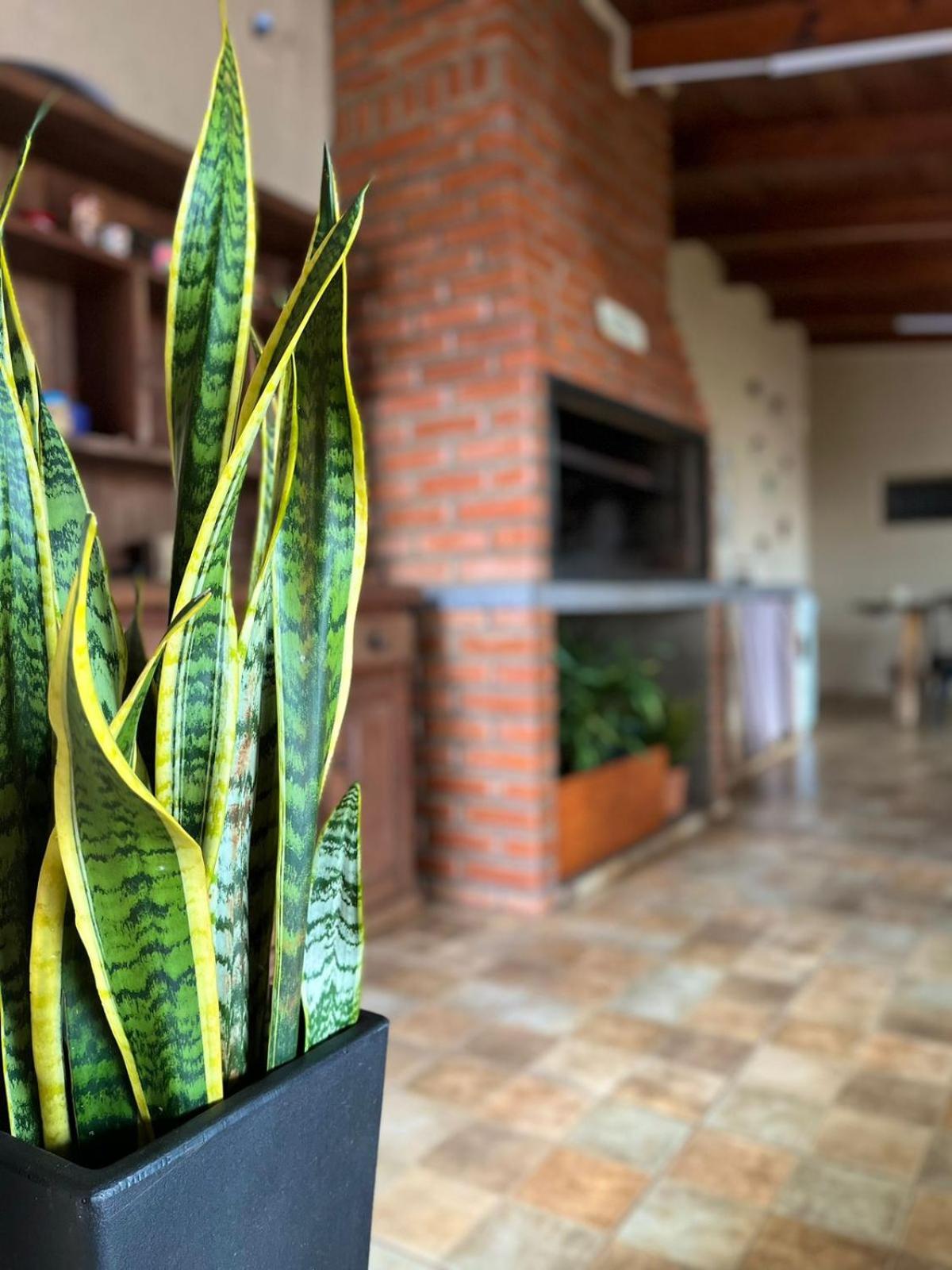 LA SELVA MONOAMBIENTES