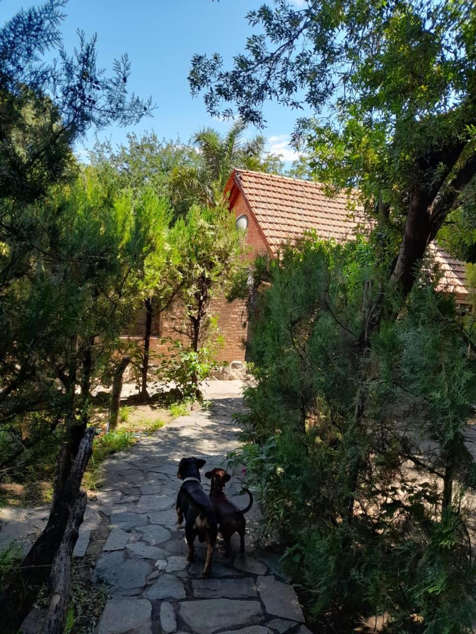 Complejo de Cabañas Estancia Del Águila