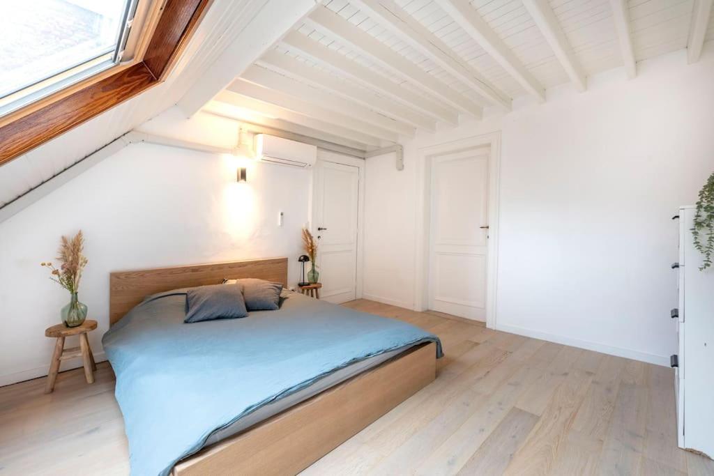 Cosy Penthouse in city center