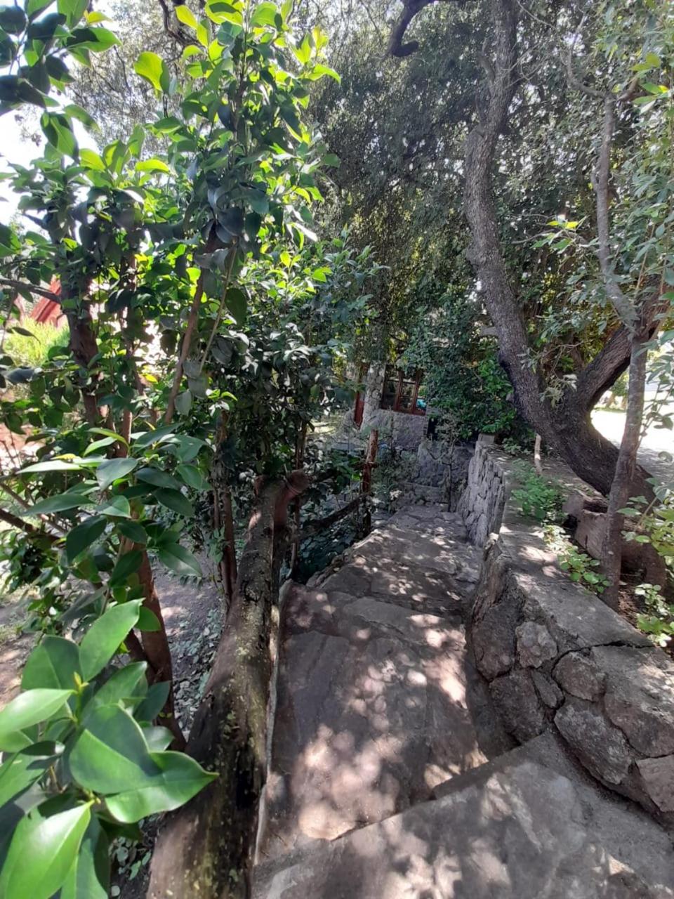 Complejo de Cabañas Estancia Del Águila