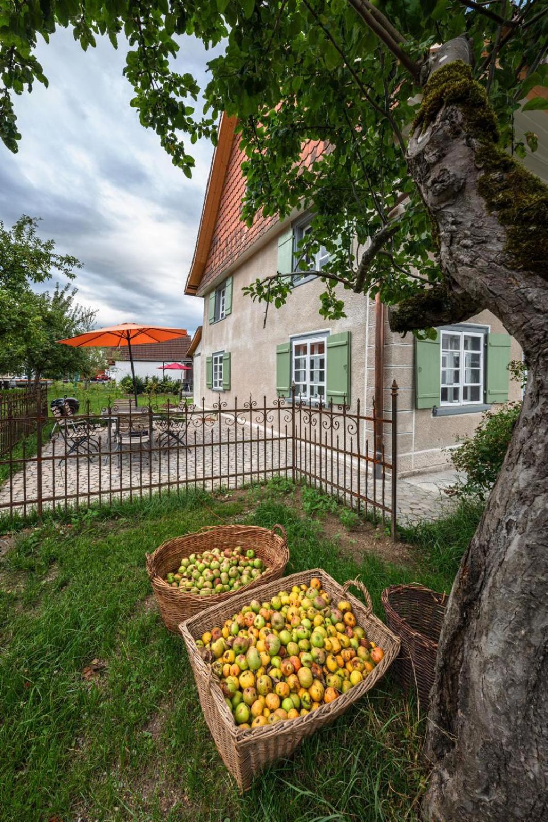 Gemütliches Bauernhaus am Bodensee
