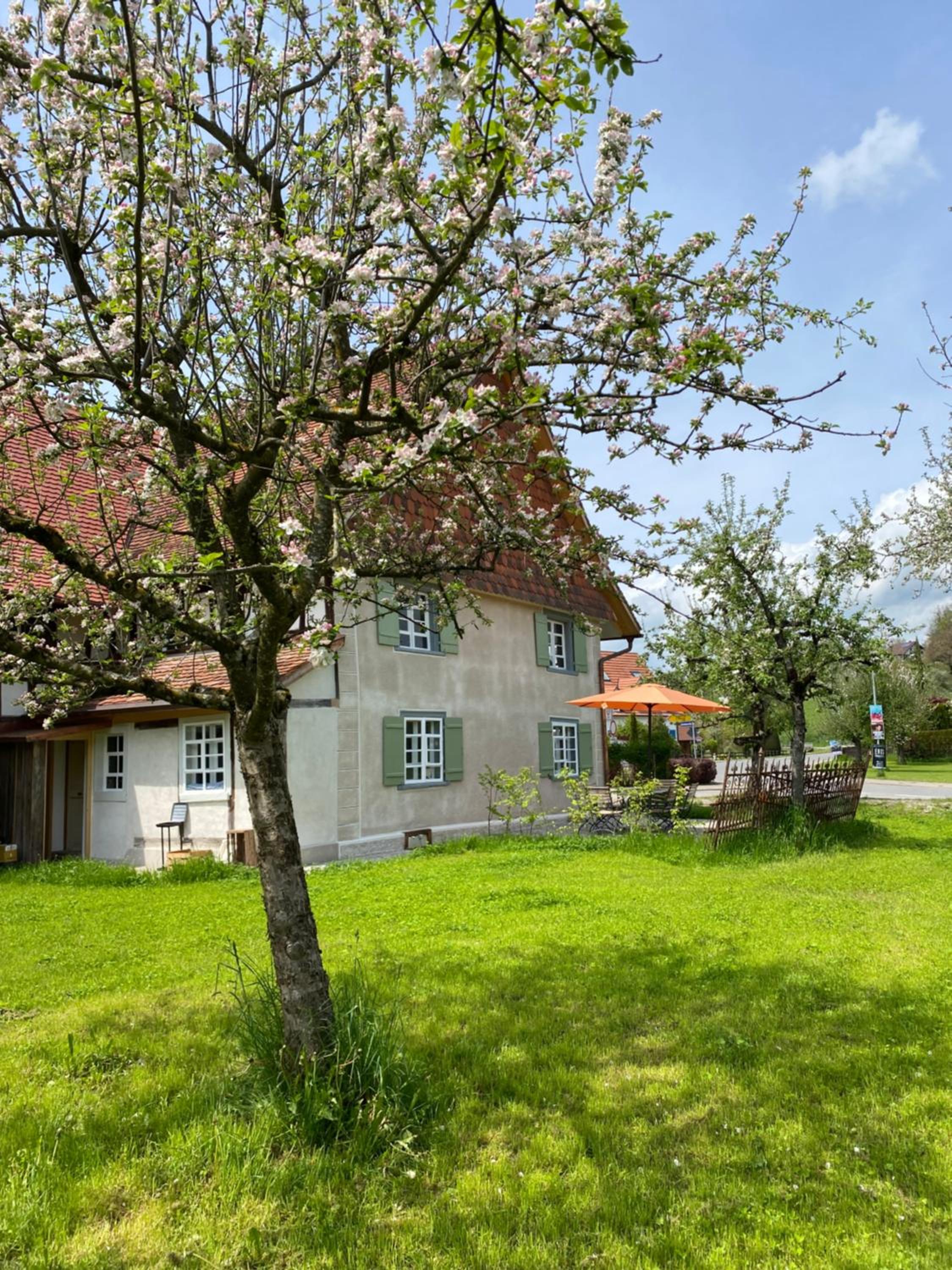 Gemütliches Bauernhaus am Bodensee