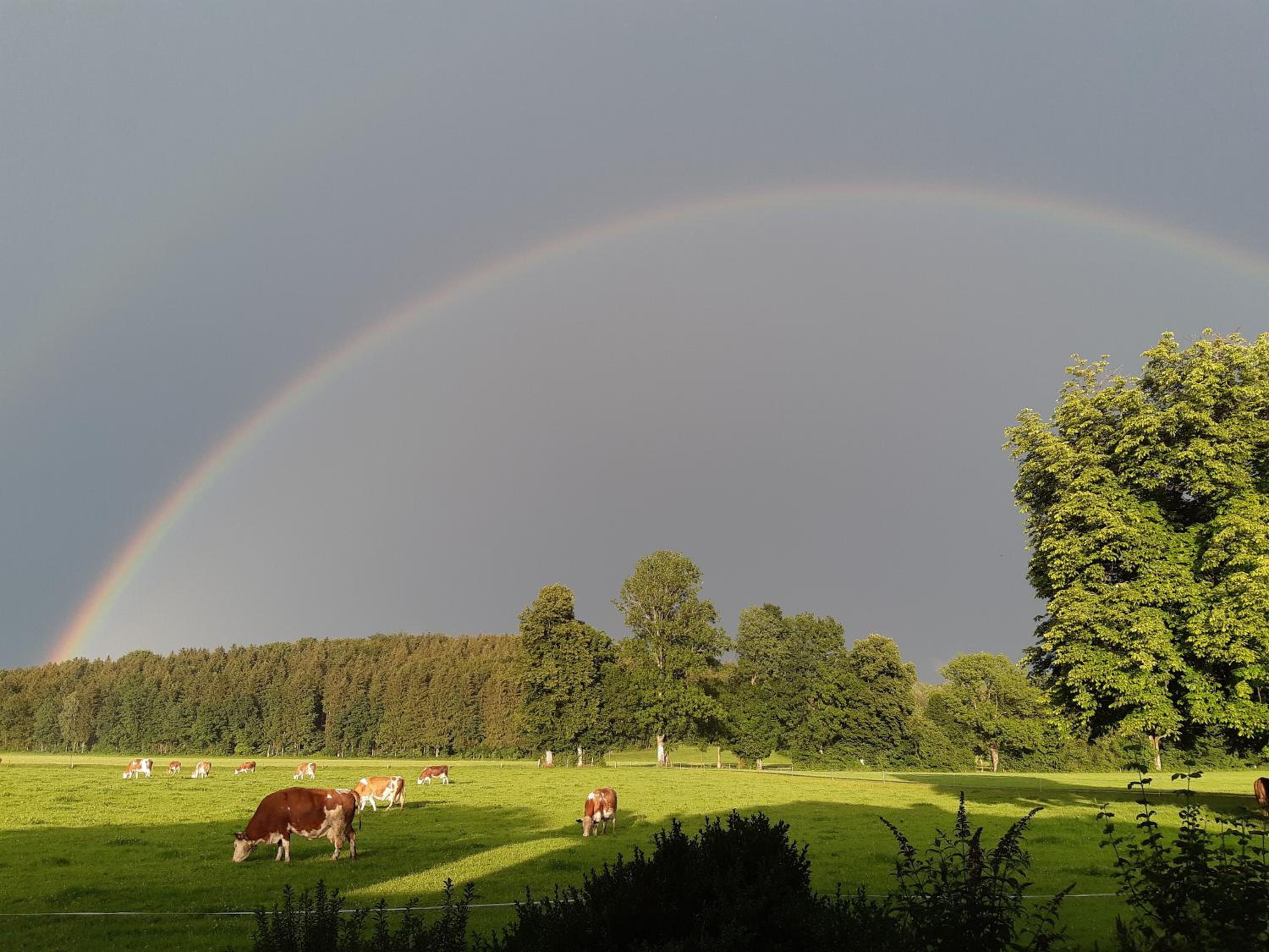 Ferienwohnung Oberlinner