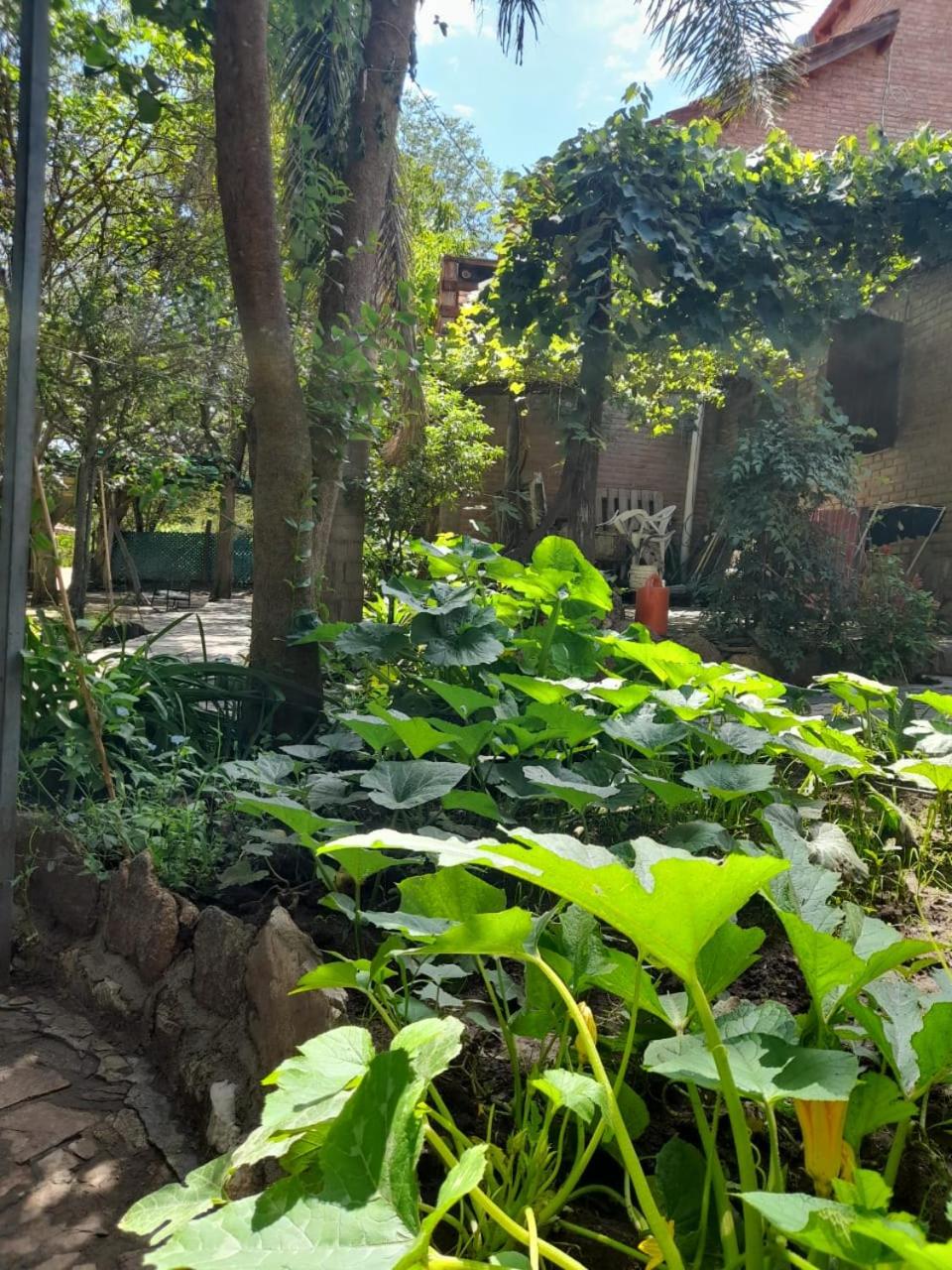 Complejo de Cabañas Estancia Del Águila