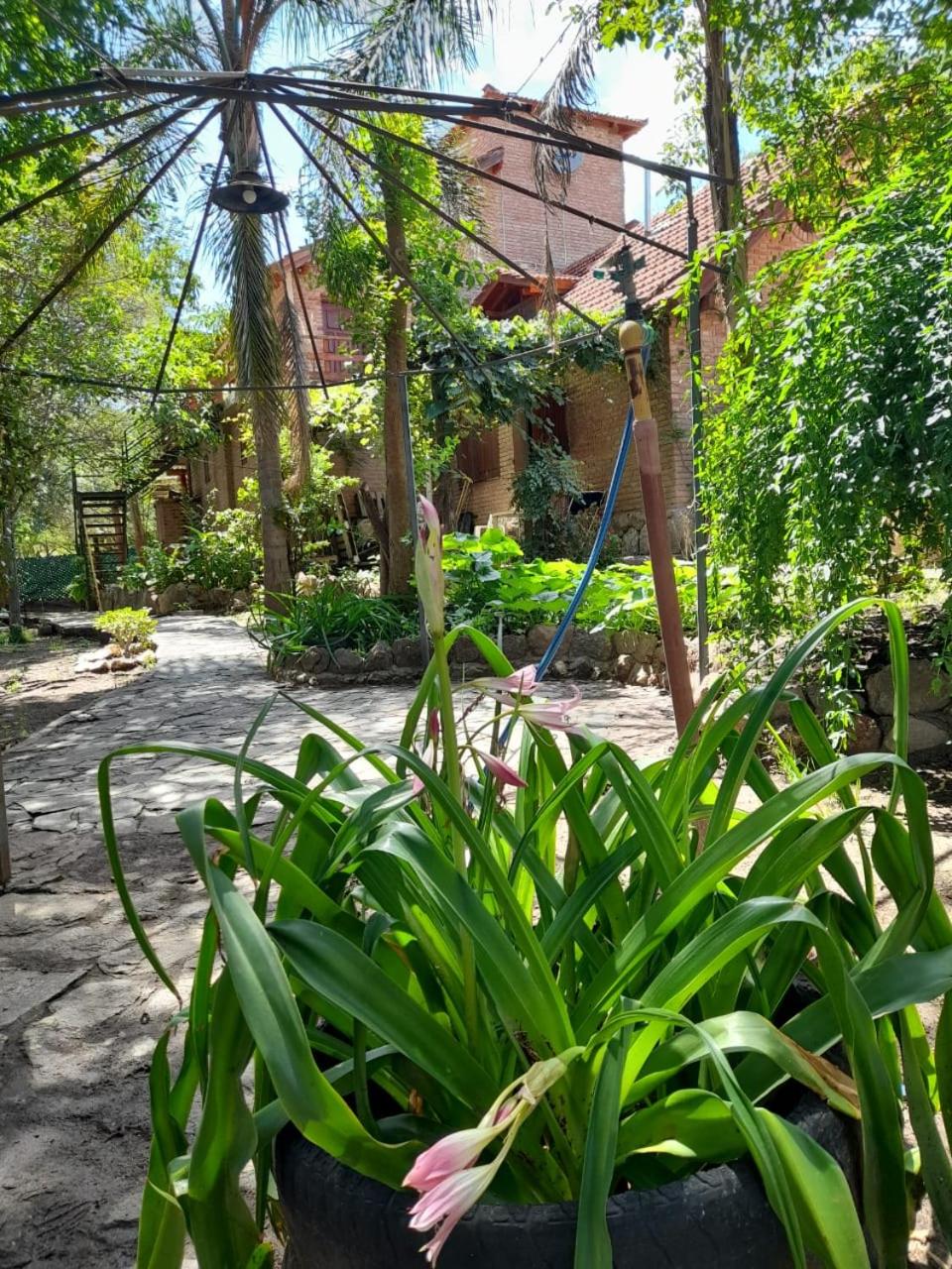 Complejo de Cabañas Estancia Del Águila