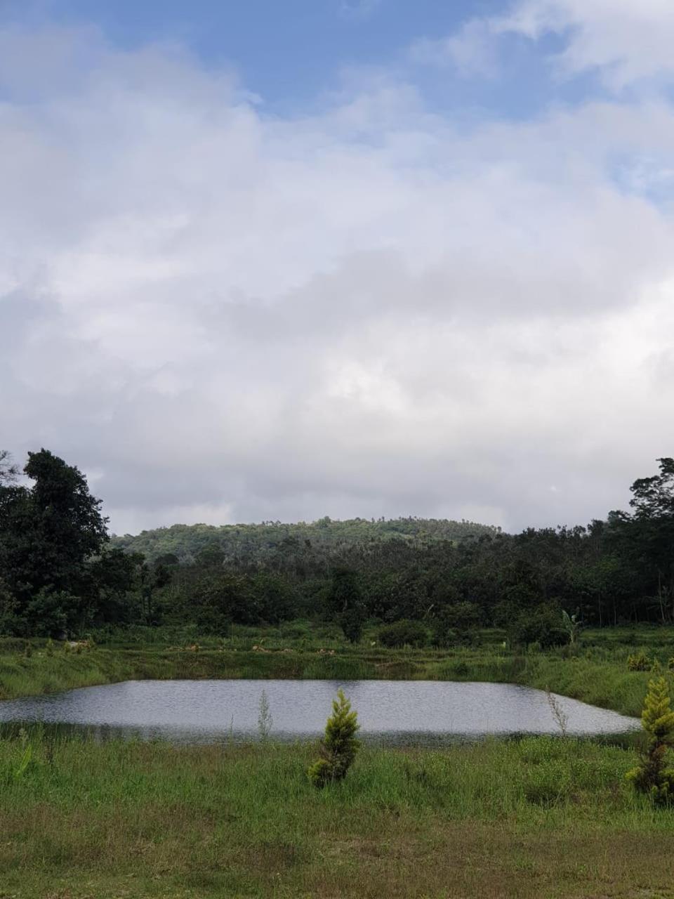 Lakeview guest house and Estate view 3