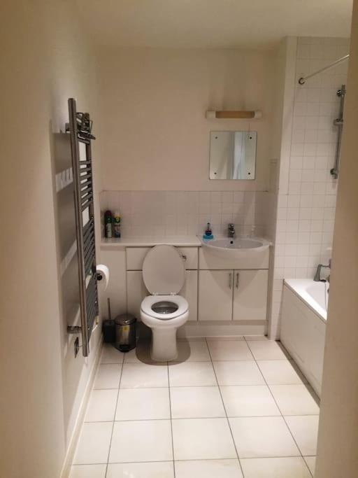 1 Bedroom Flat near Excel, O2, Canary Wharf - London