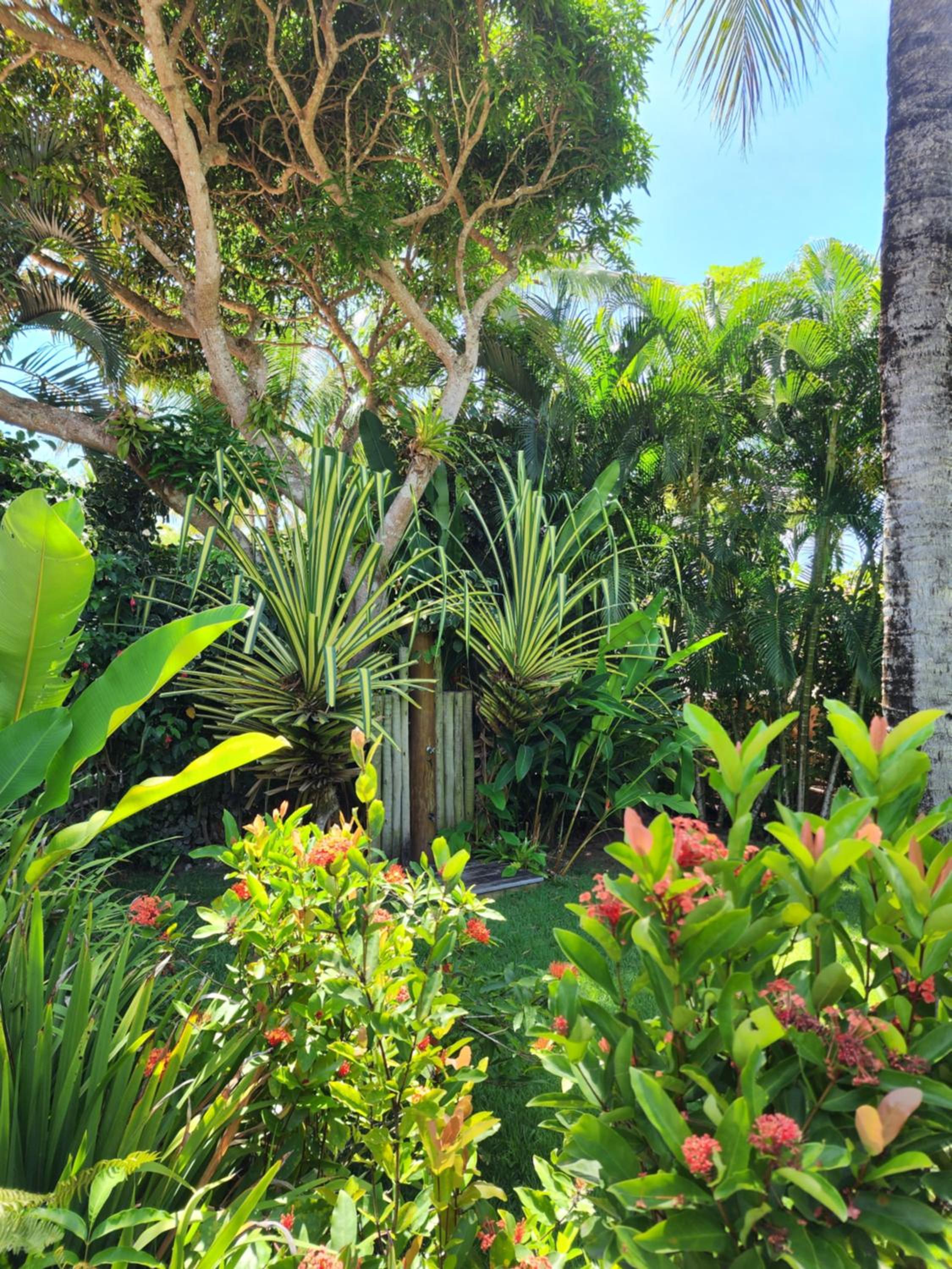 Casa Curuípe Praia