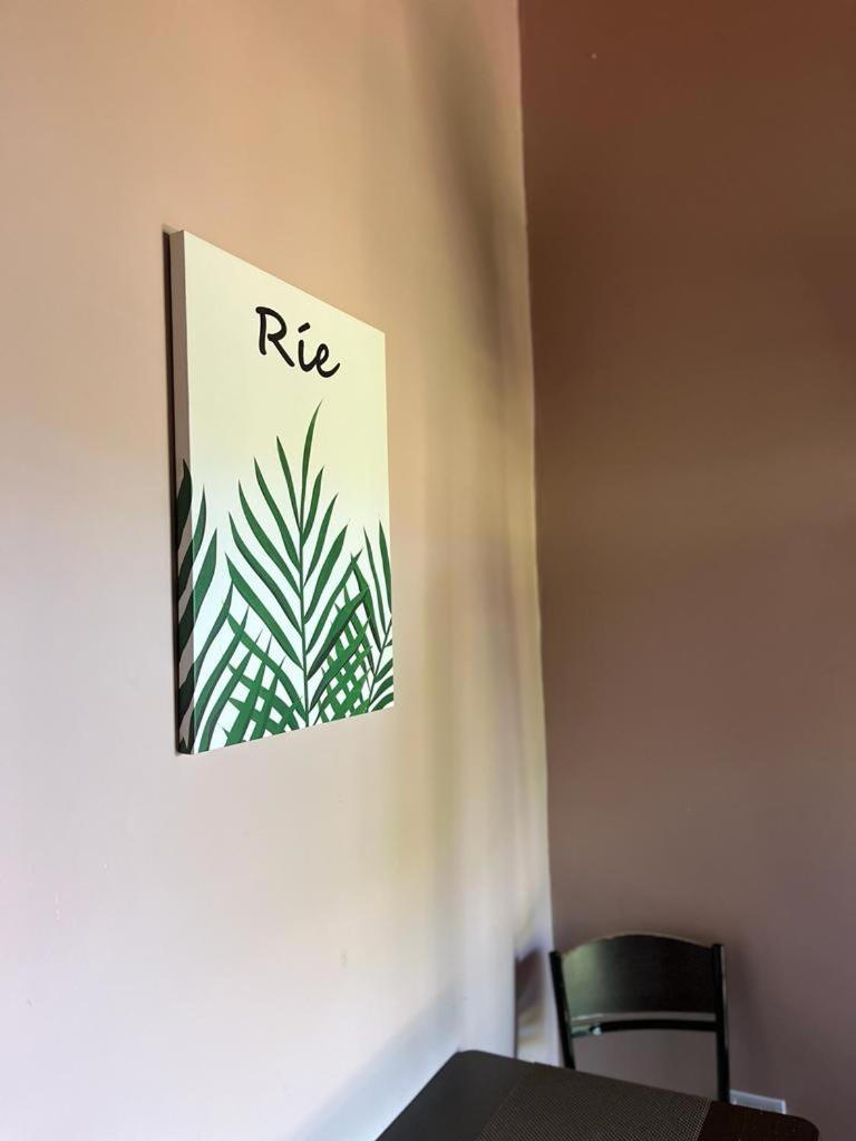 LA SELVA MONOAMBIENTES