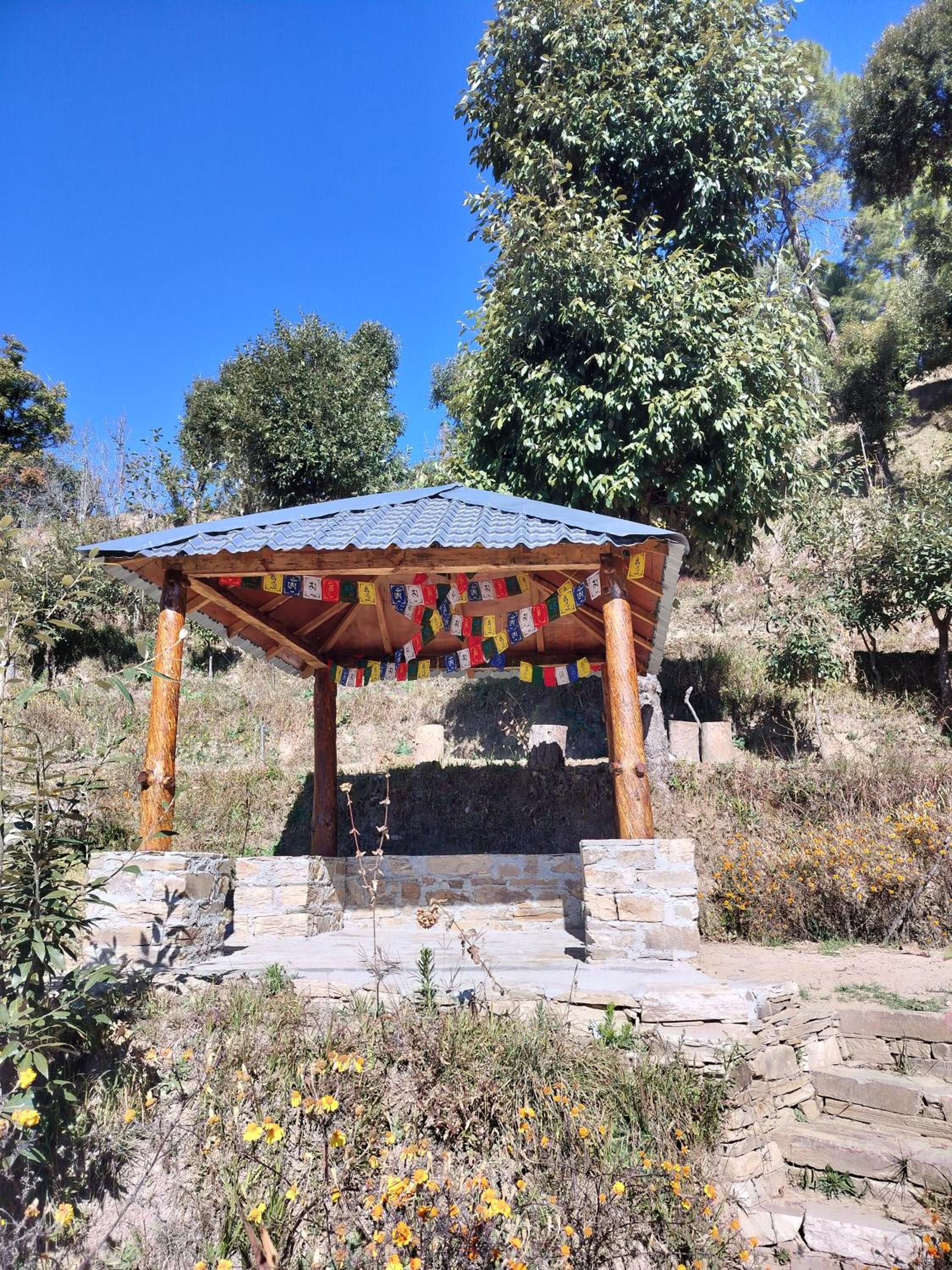 Photo 16