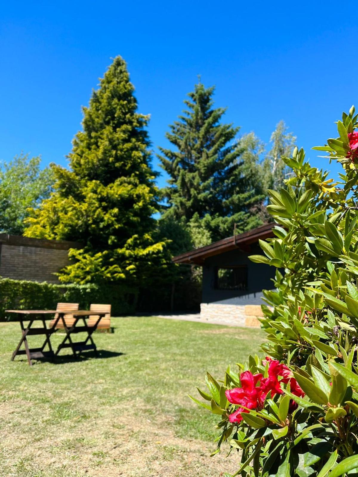 Las Viñas Hostel Boutique