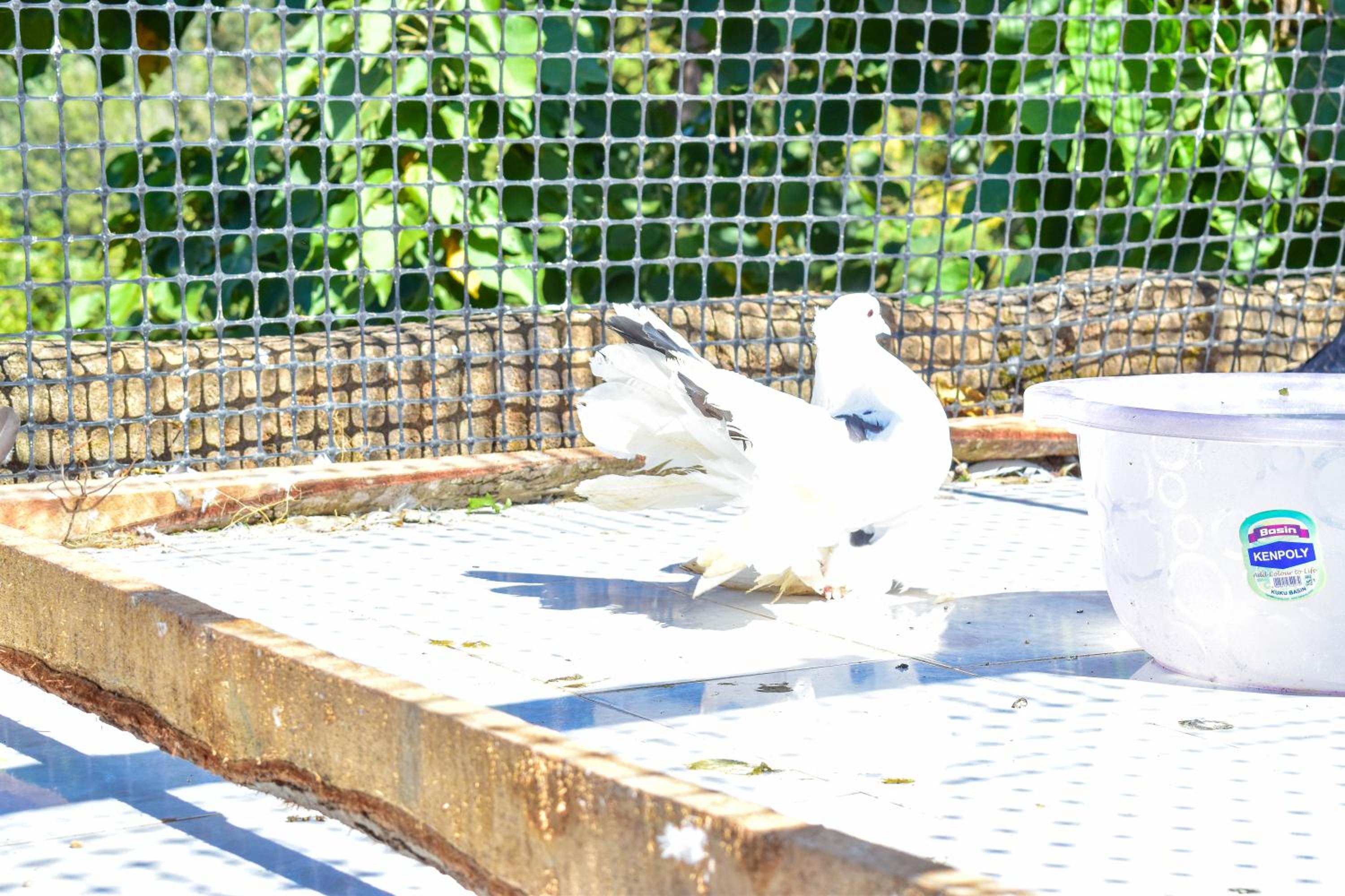 Photo 49