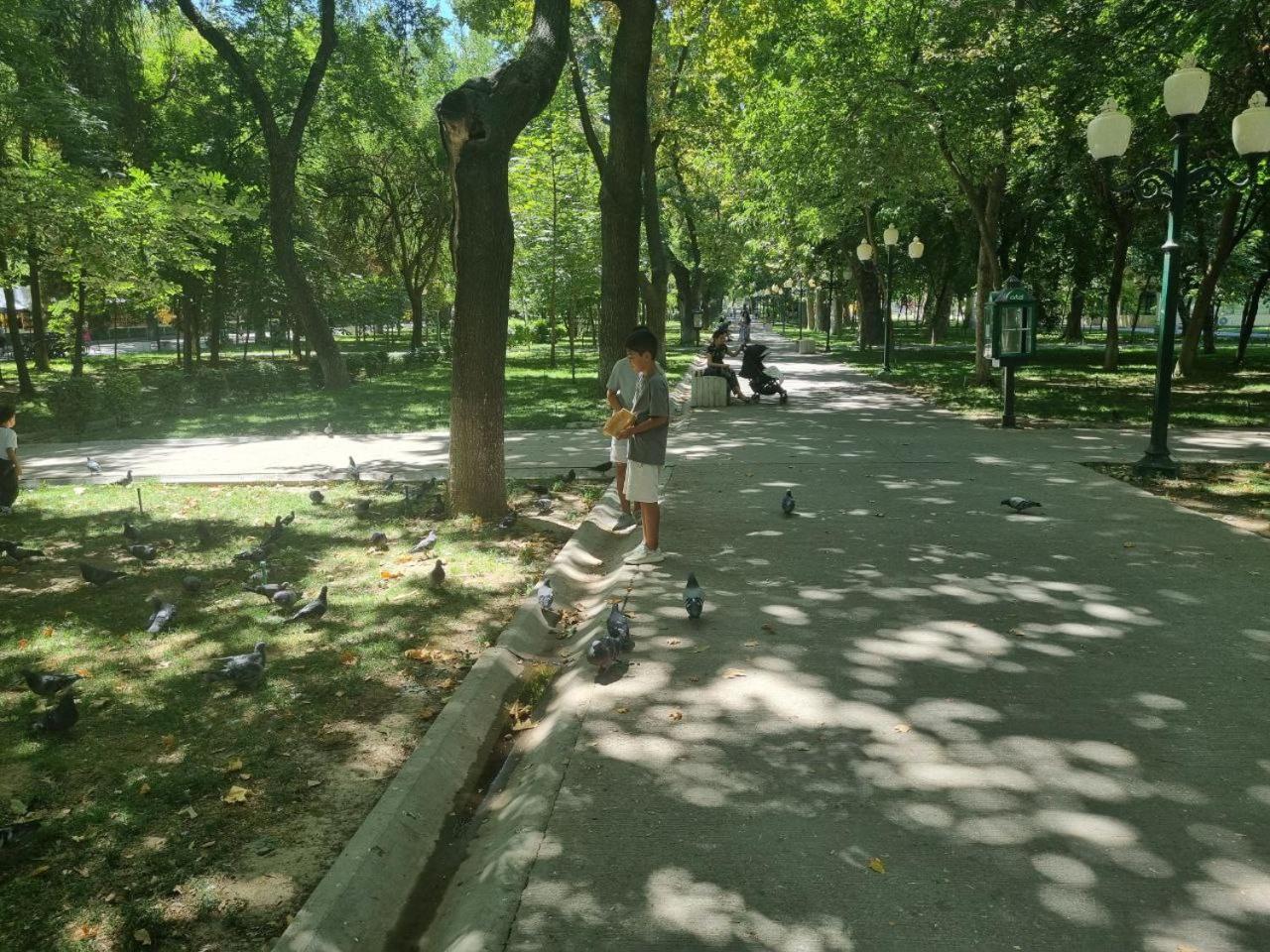 Photo 33