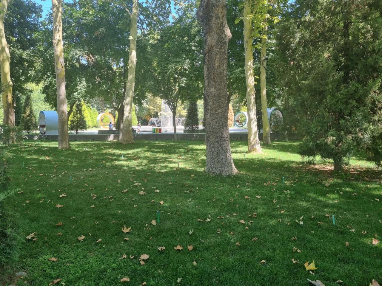 Photo 45