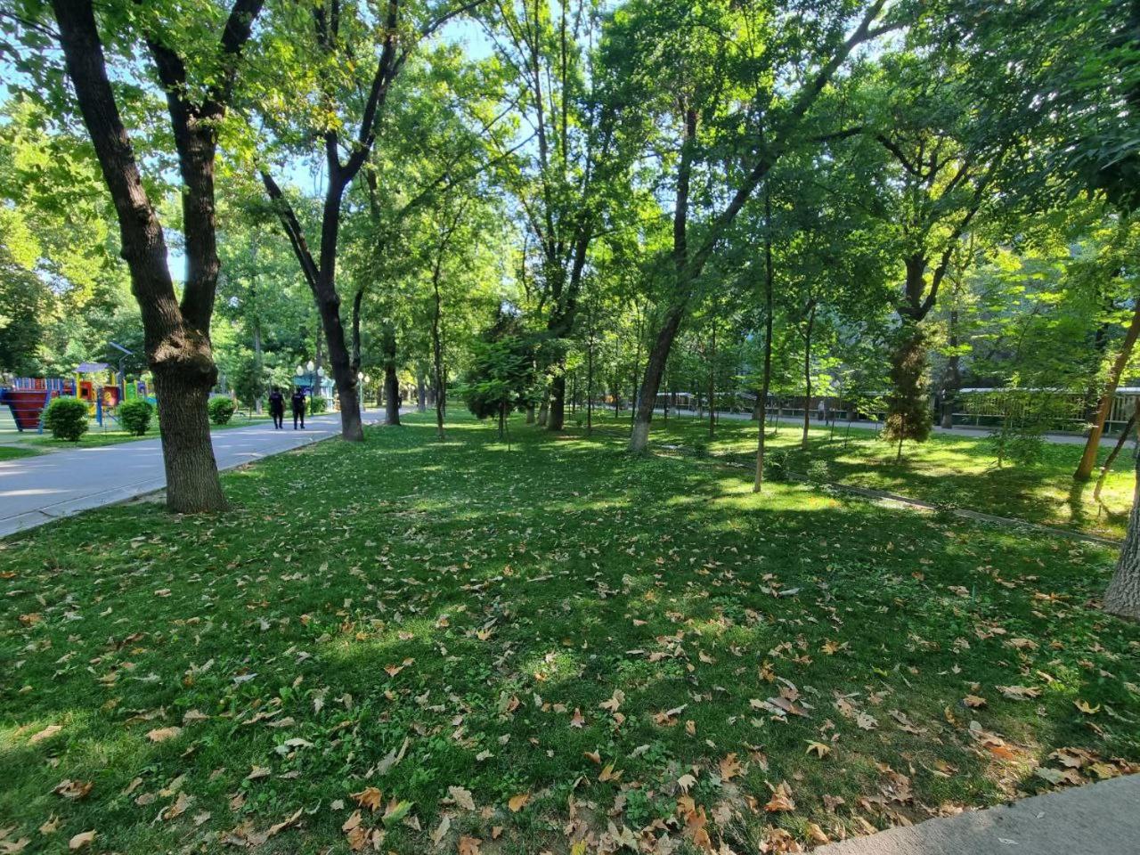 Photo 48