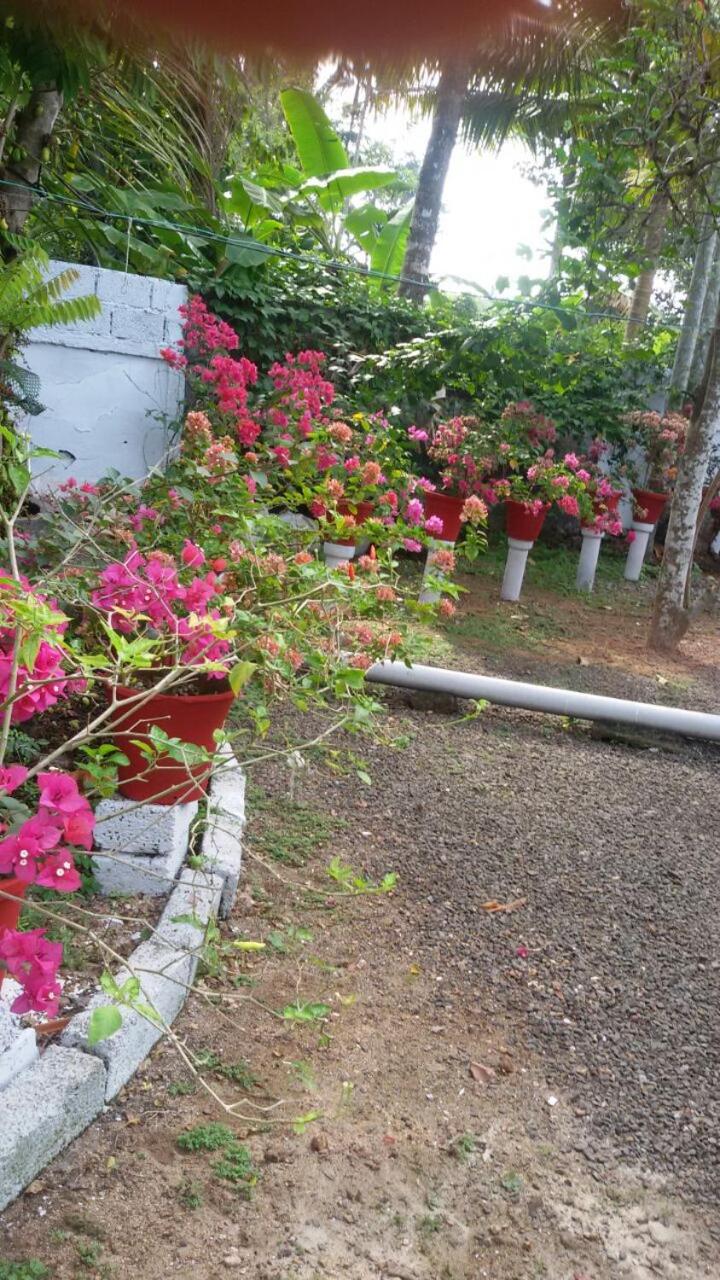 DREAM HOMESTAY view 3
