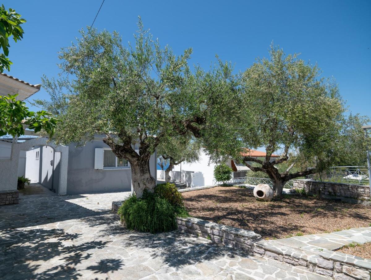 Pouletis Family Villas Sea Apartments photo 4
