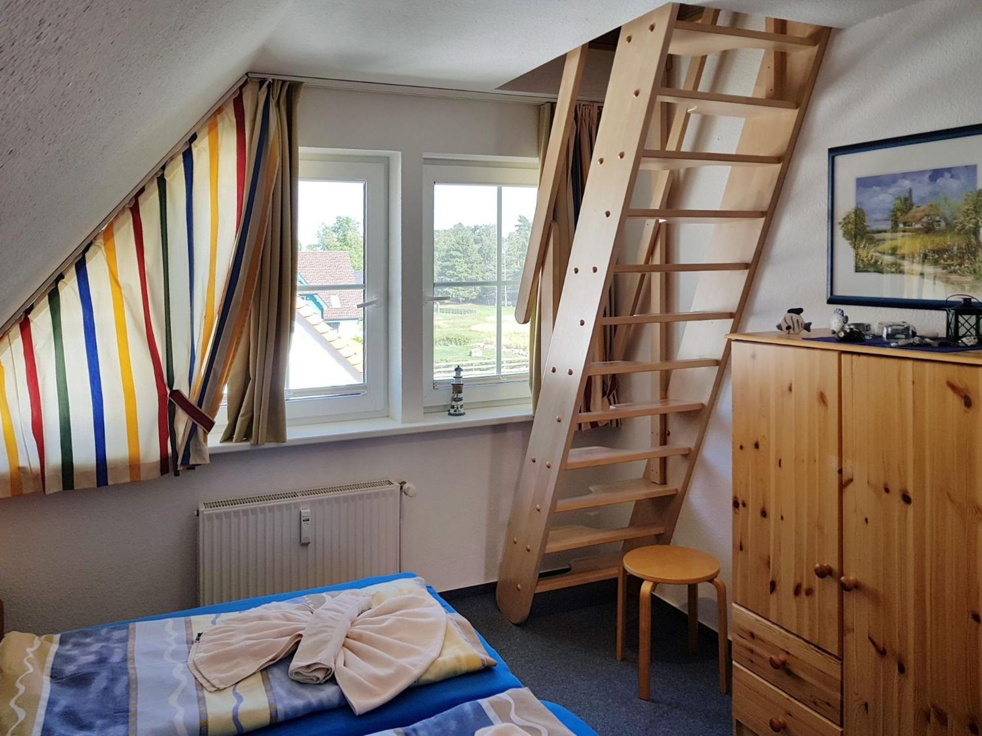 Das Gelbe vom Darss 7 view 4