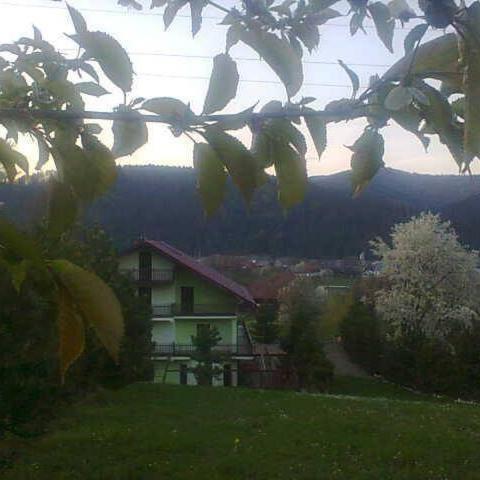 Photo 42