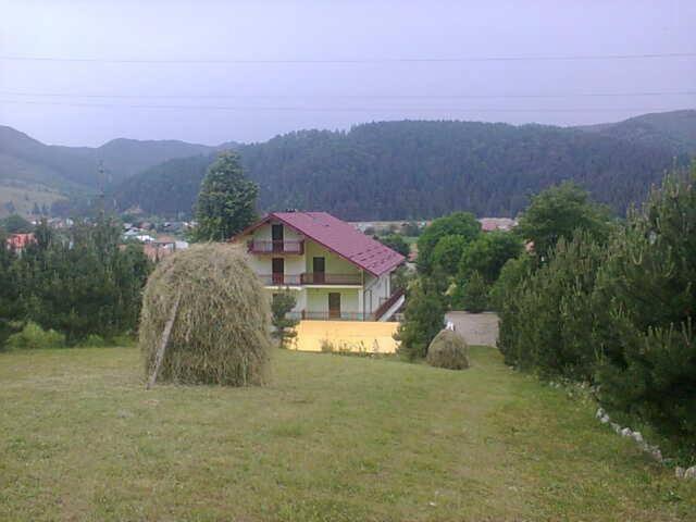 Photo 41